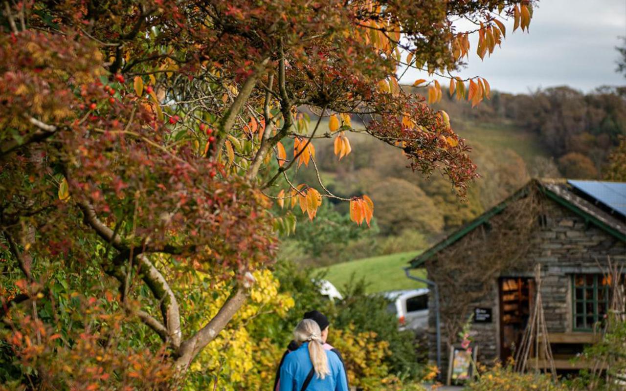 Beatrix Potter & Lake District Half-Day Adventure