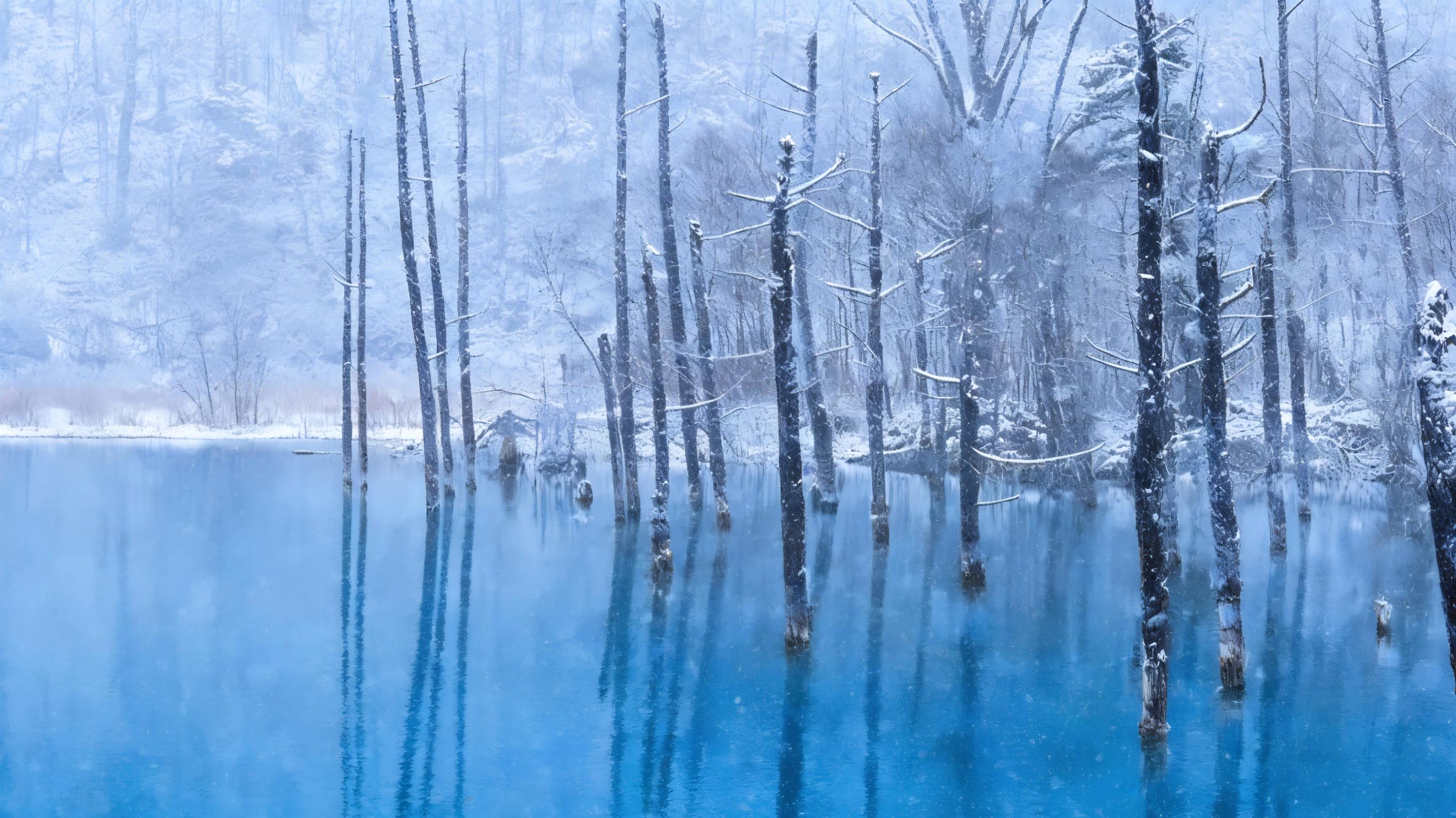 Hokkaido Winter Wonderland: Shikisai no Oka & Blue Pond Illumination Day Tour