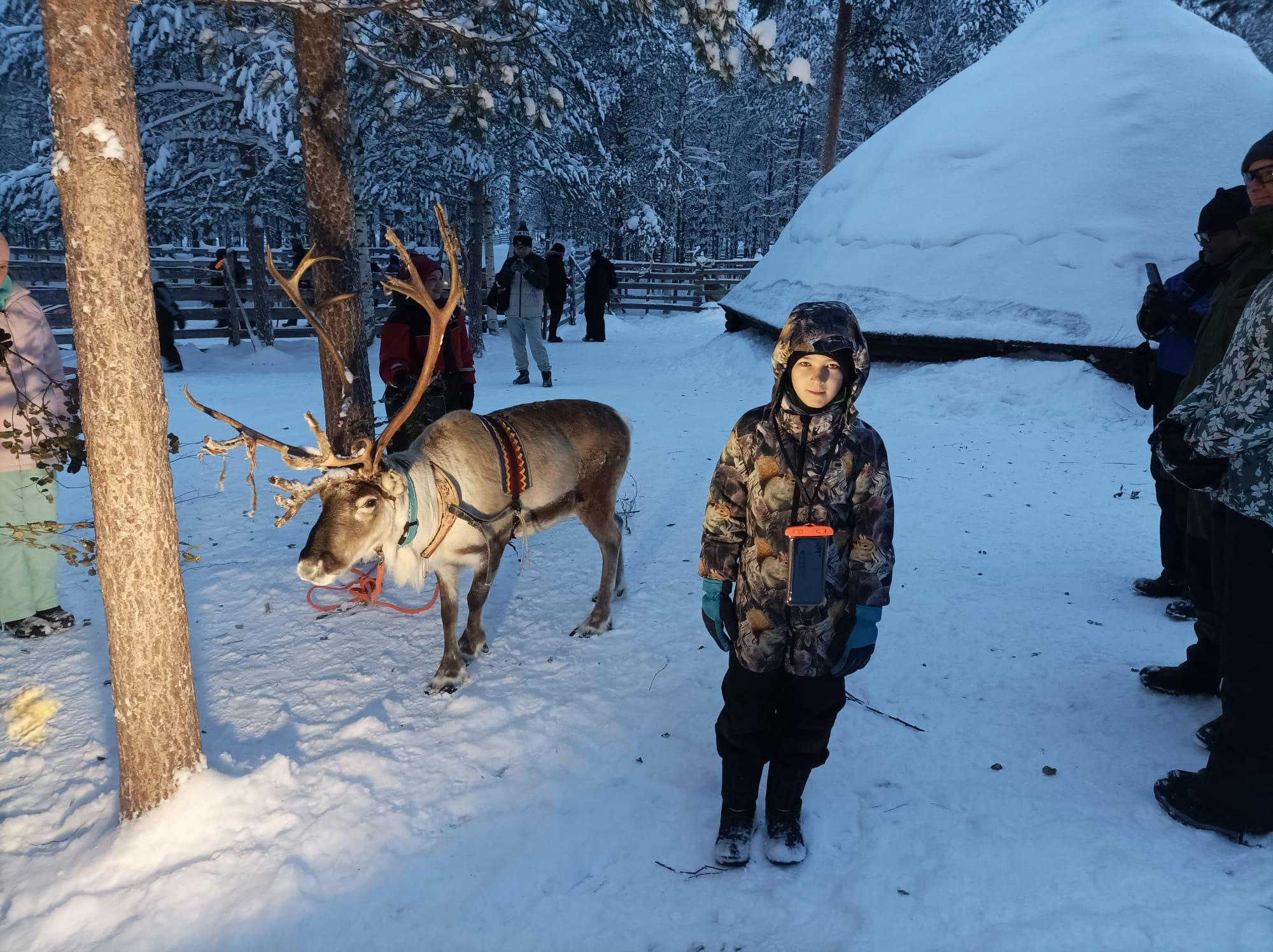 Ranua Wildlife Park Day Trip from Rovaniemi