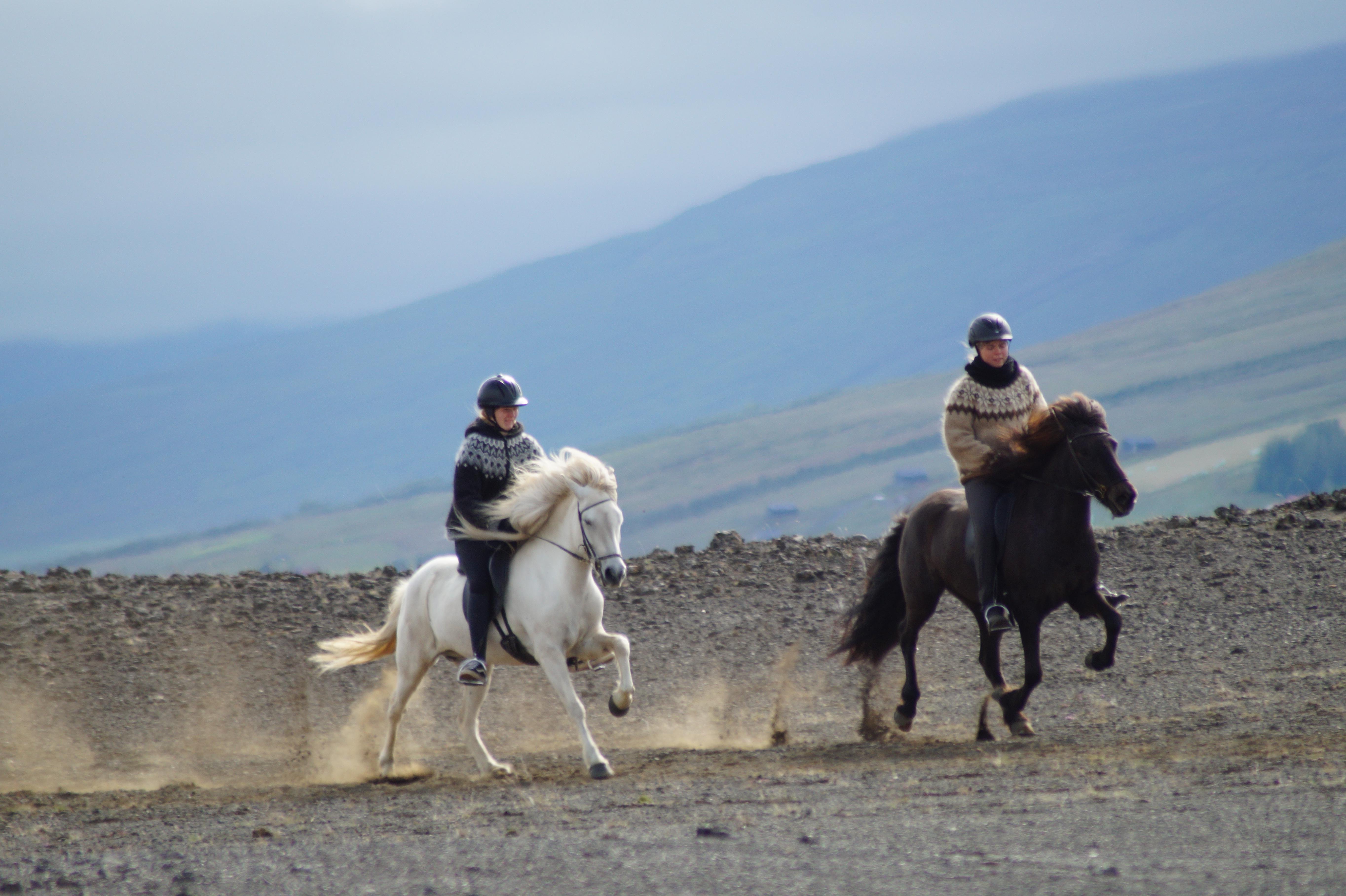Horseback Riding Adventure in North Iceland