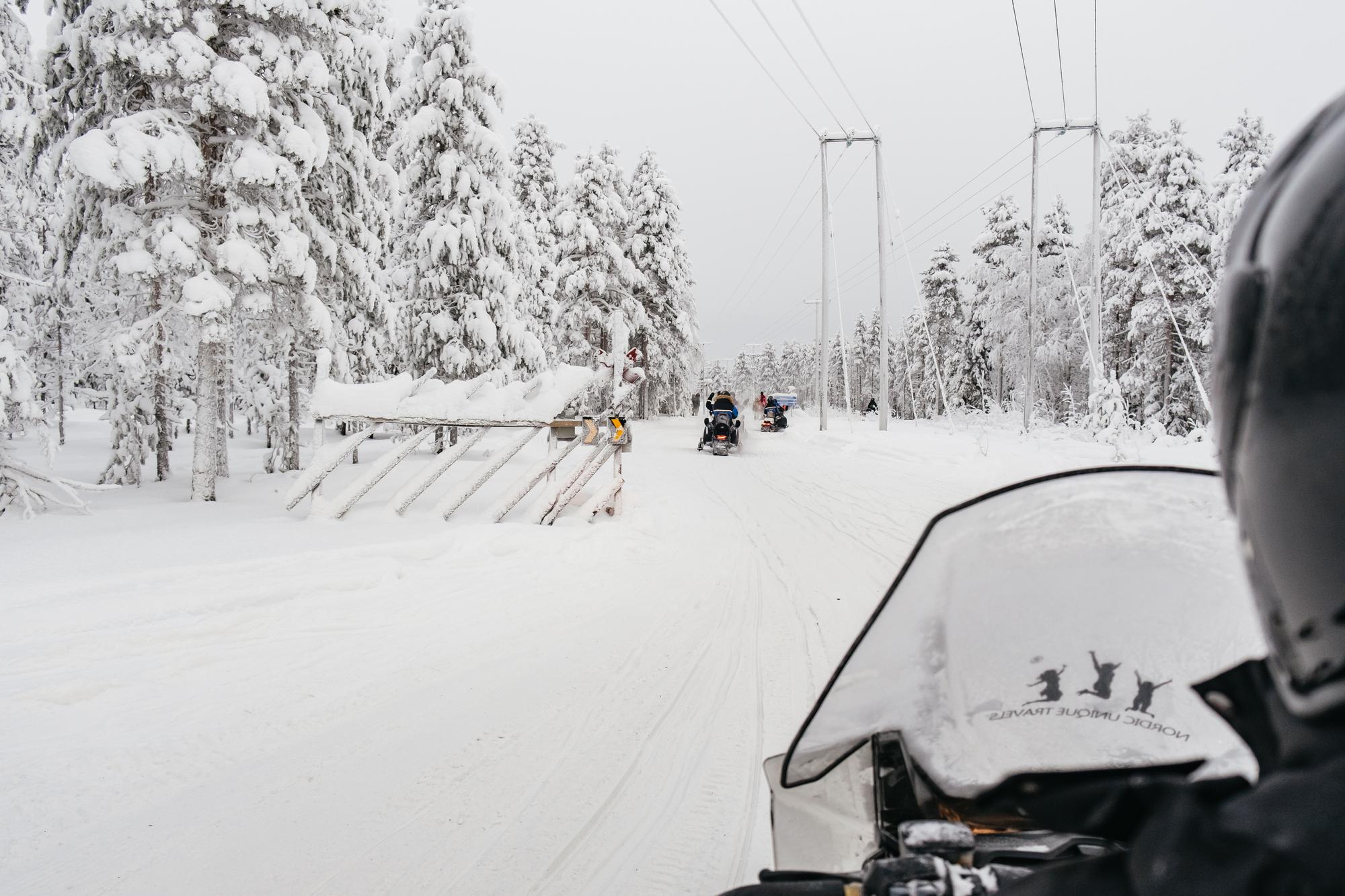 Rovaniemi Snowmobile Safari & Arctic Wildlife Day Tour