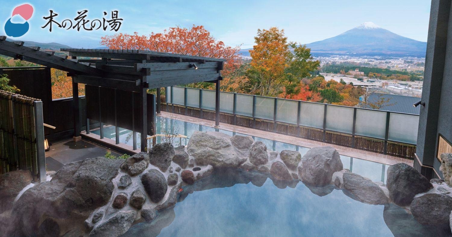 Mt. Fuji, Gotemba & Hakone Day Tour from Tokyo