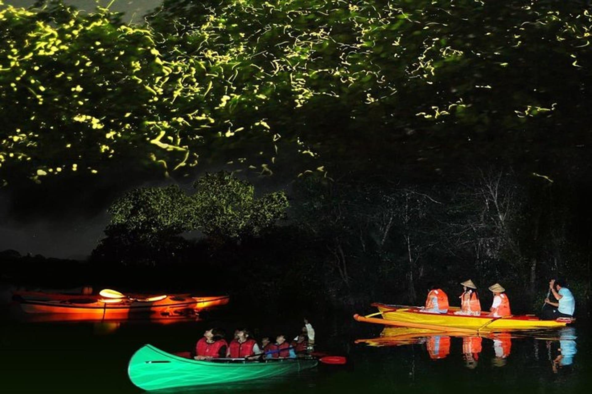 Abatan River Firefly Watching with Hotel Transfers