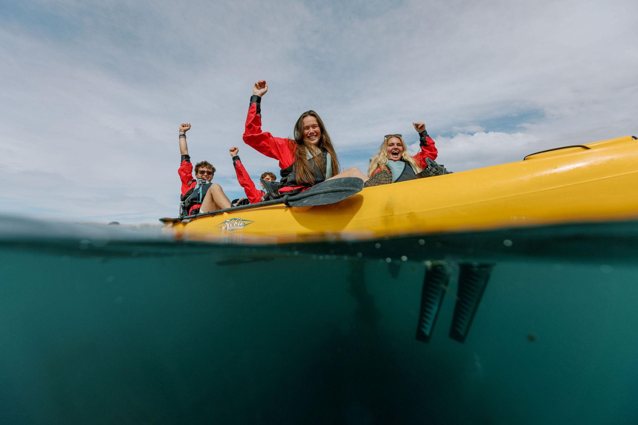 Kaikoura: Seal-Watching Pedal Kayak Tour