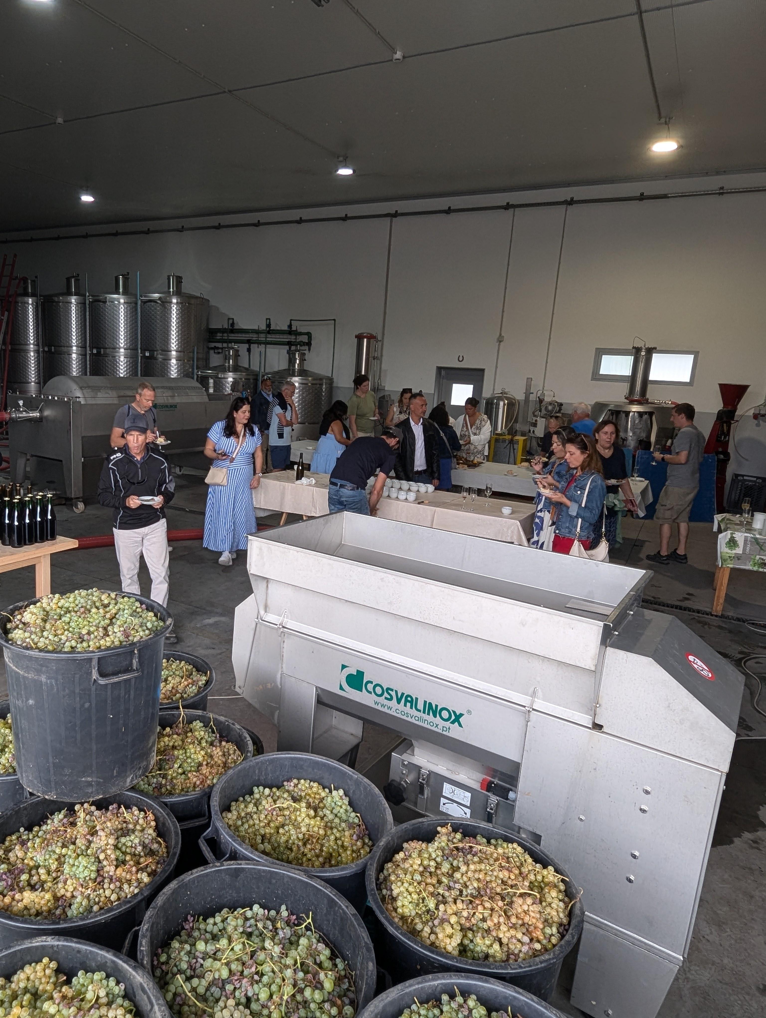 Porto: Douro Valley & Vinho Verde Day Tour with Tastings, Lunch & Boat Cruise