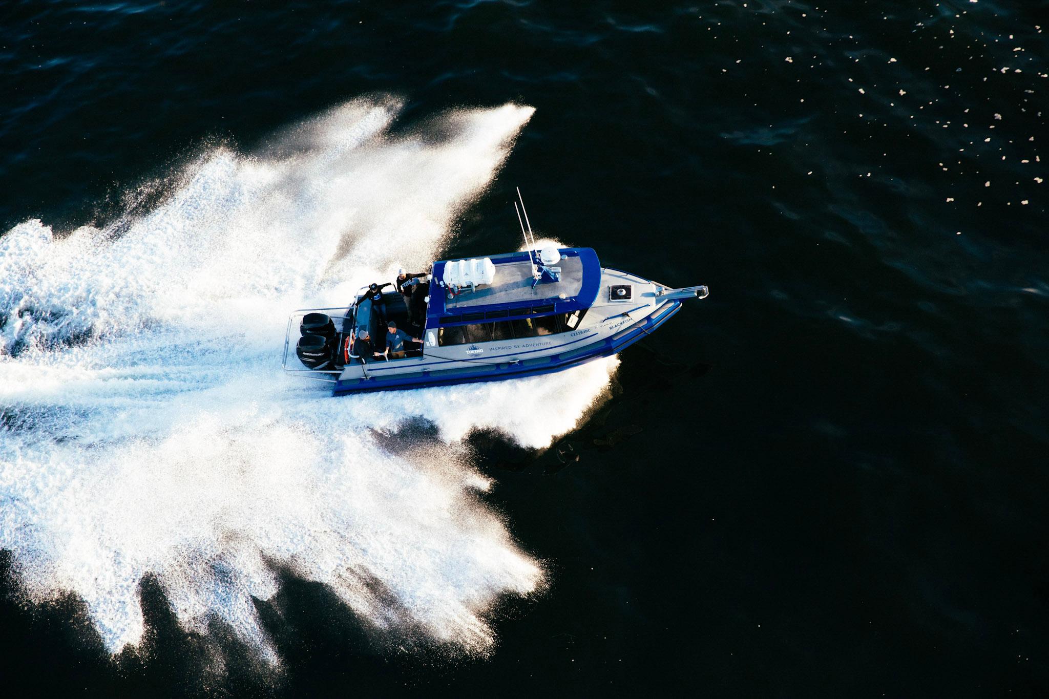 Tofino Covered Boat Winter Wildlife Tour