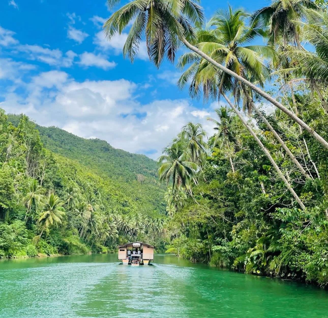Bohol Countryside Day Tour from Cebu – Chocolate Hills, Tarsiers & Loboc River