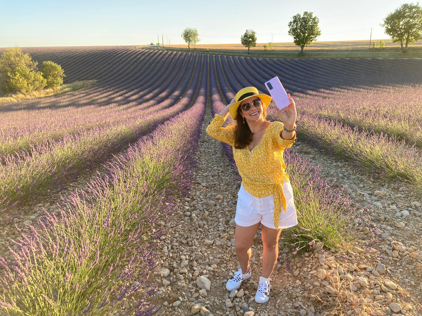 Valensole lavender fields in Provence — guided lavender tour photo 13