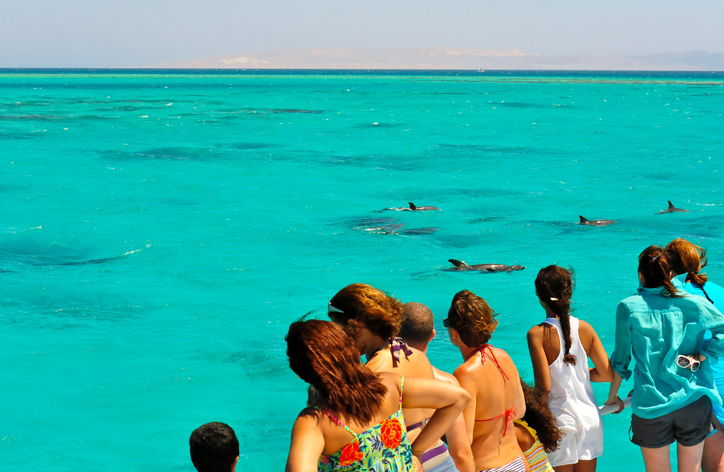 Key West Dolphin Watch & Reef Snorkeling Adventure