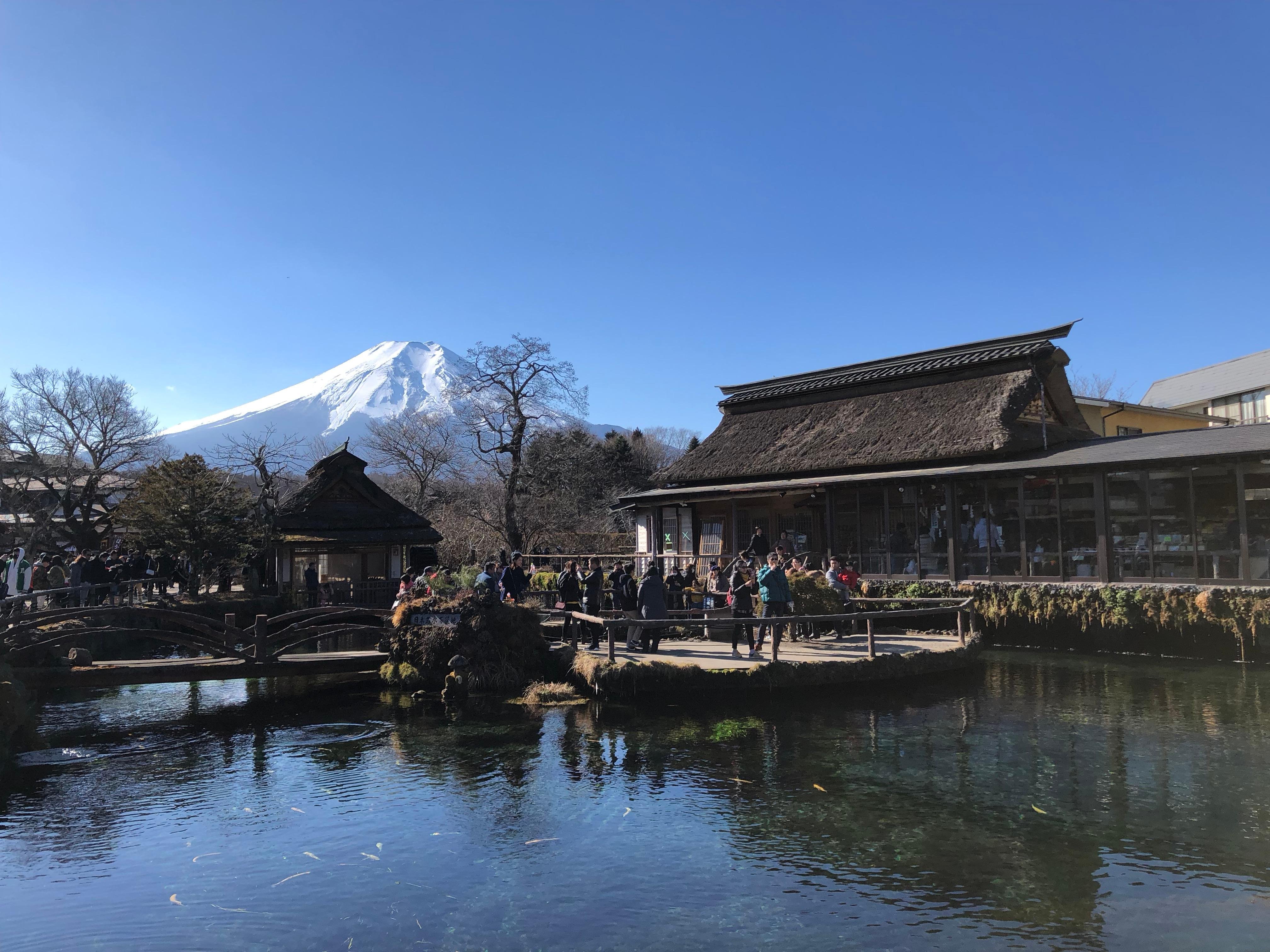 Mount Fuji Full-Day Sightseeing Tour from Tokyo