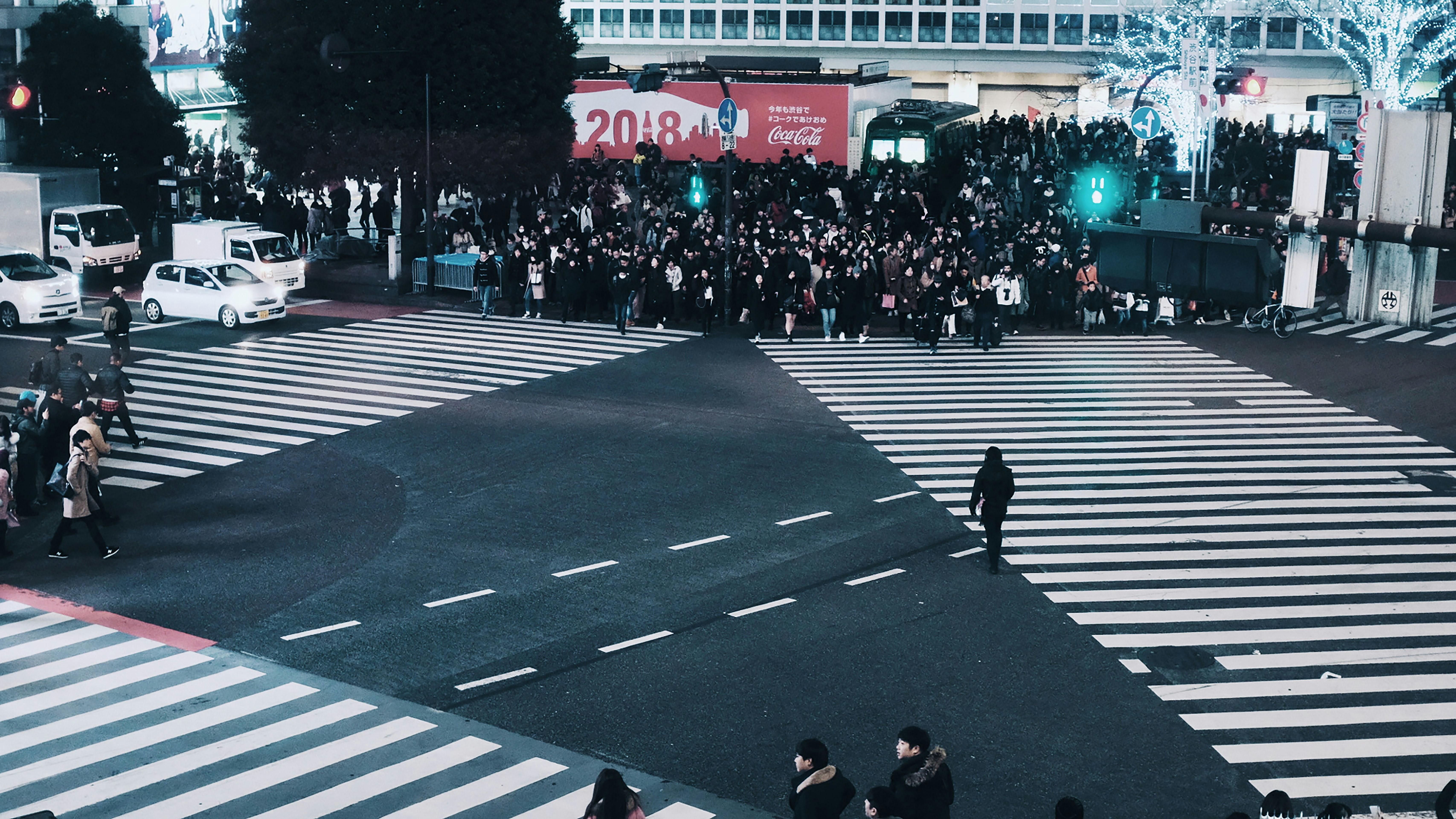 Shibuya Essentials: Hachiko, Sky & Street Culture Walking Tour