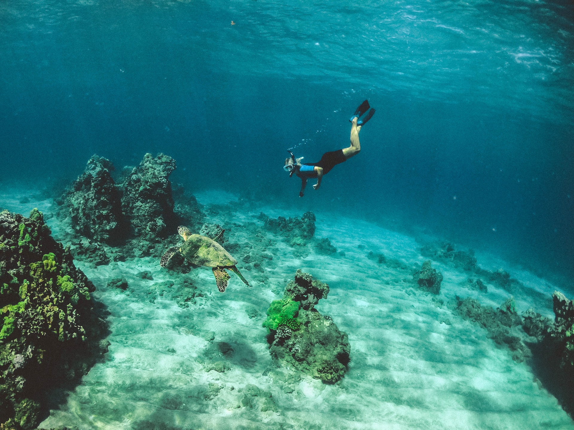 Unawatuna Bay Snorkeling Adventure