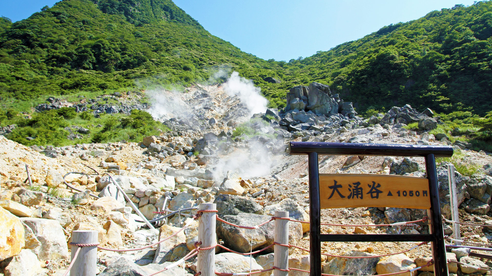 Mt. Fuji & Hakone Day Trip: Pirate Cruise, Ropeway & Shrine from Tokyo