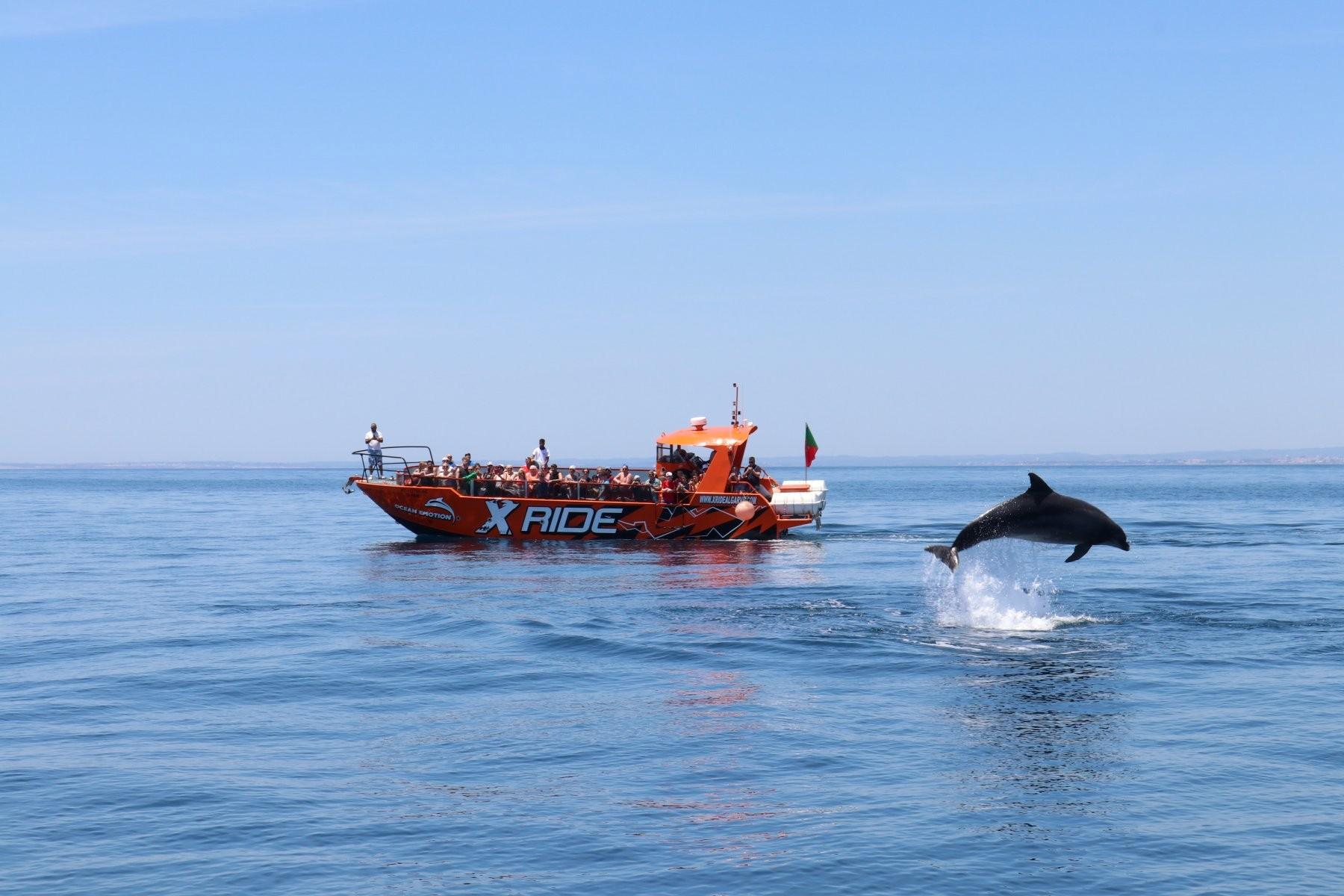 Vilamoura Dolphin Watching & Benagil Cave Boat Tour