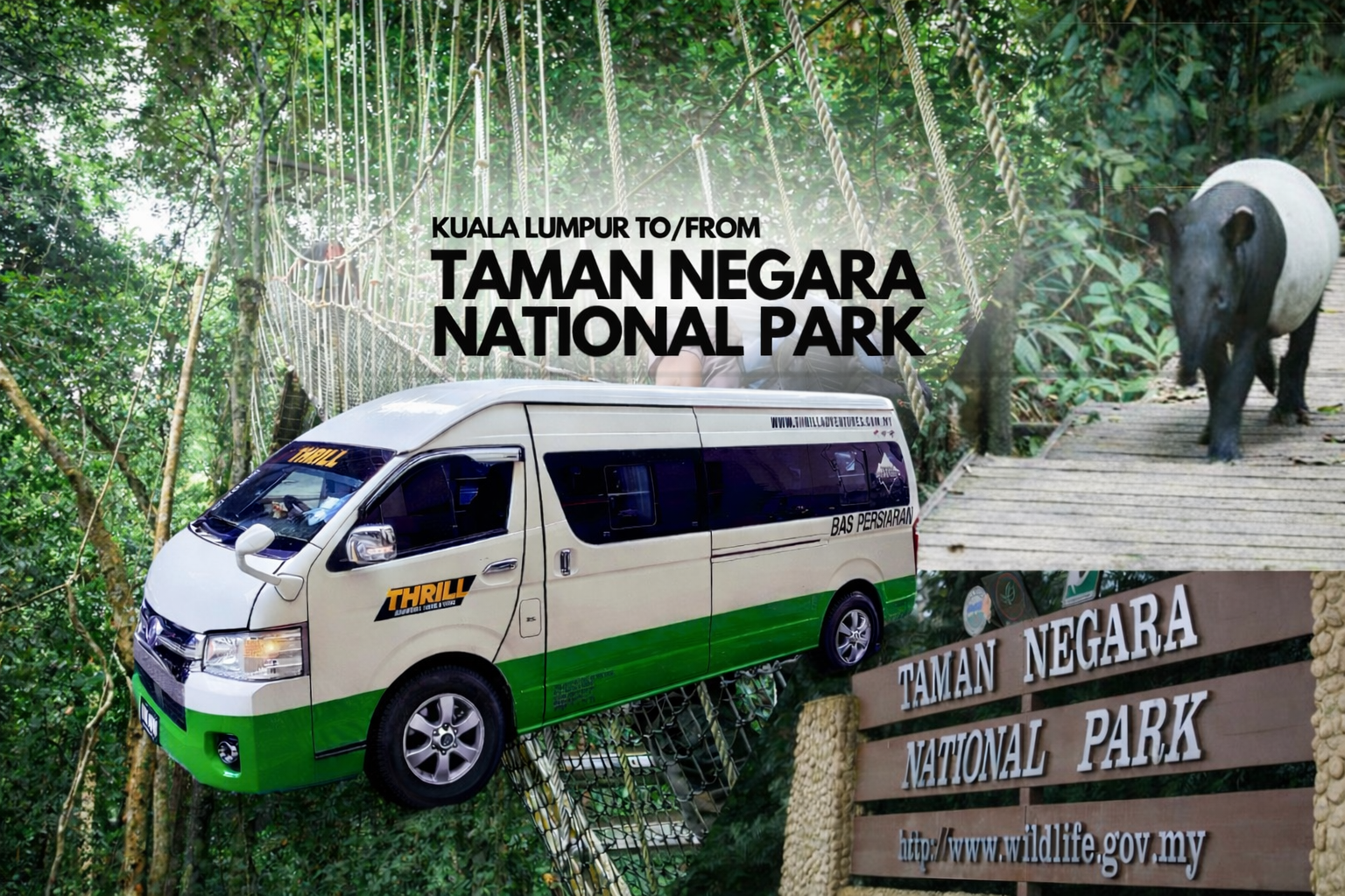 Kuala Lumpur - Taman Negara National Park Transfer