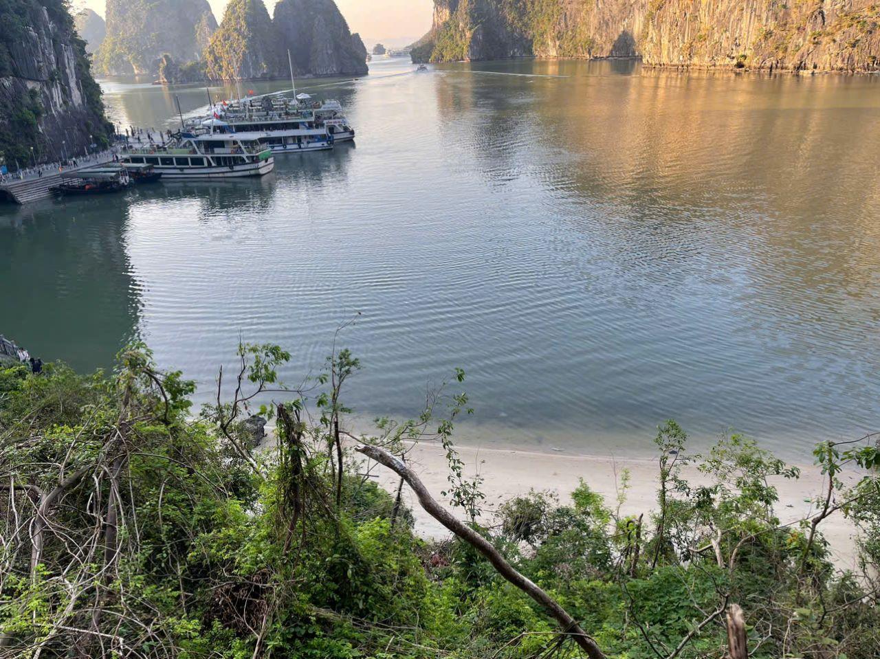 Ha Long Bay Day Trip from Hanoi: Luxury or Standard Cruise with Lunch