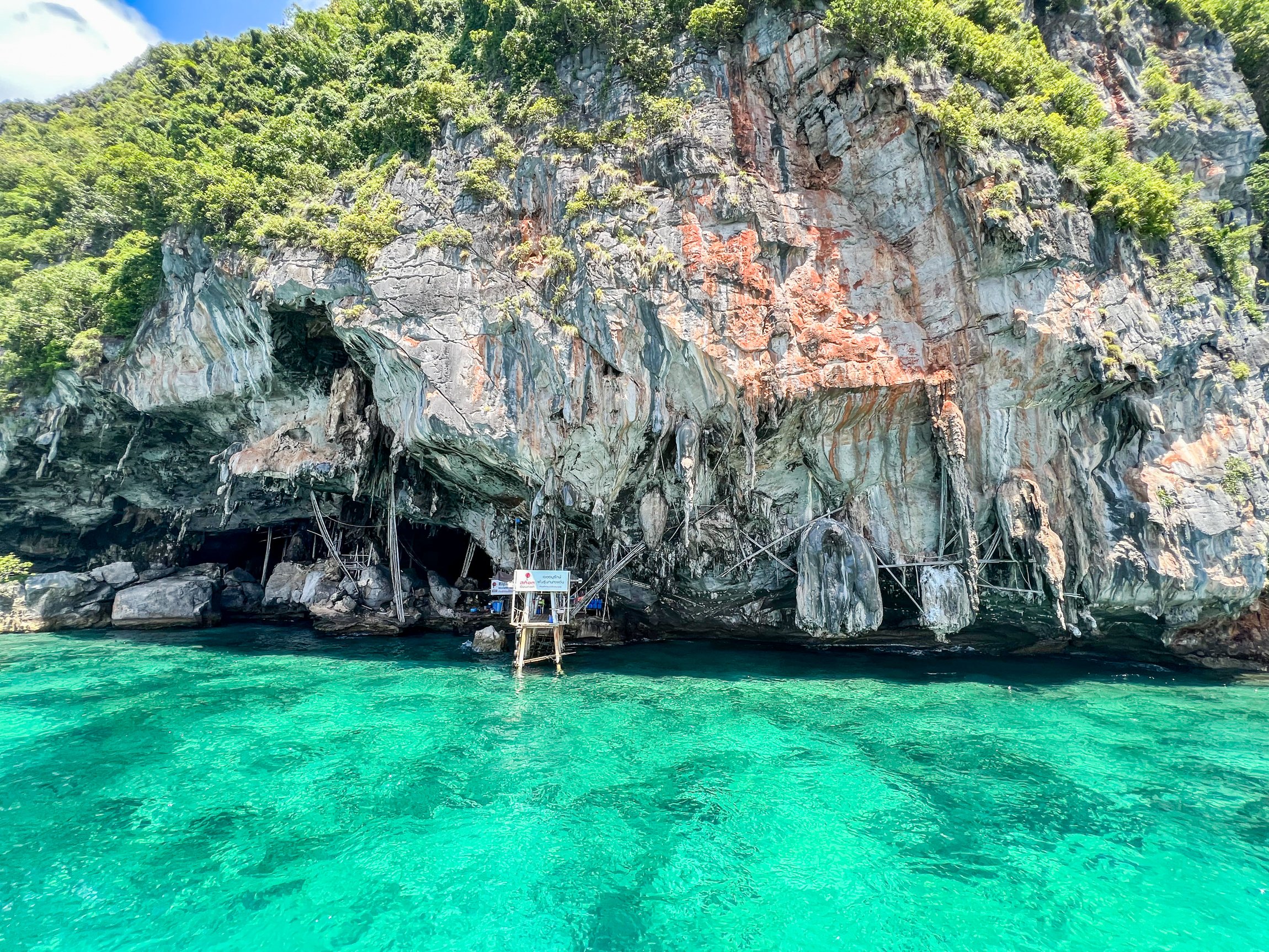 Phuket Speedboat Day Trip: Maya Bay, Phi Phi & Bamboo Island with Buffet Lunch
