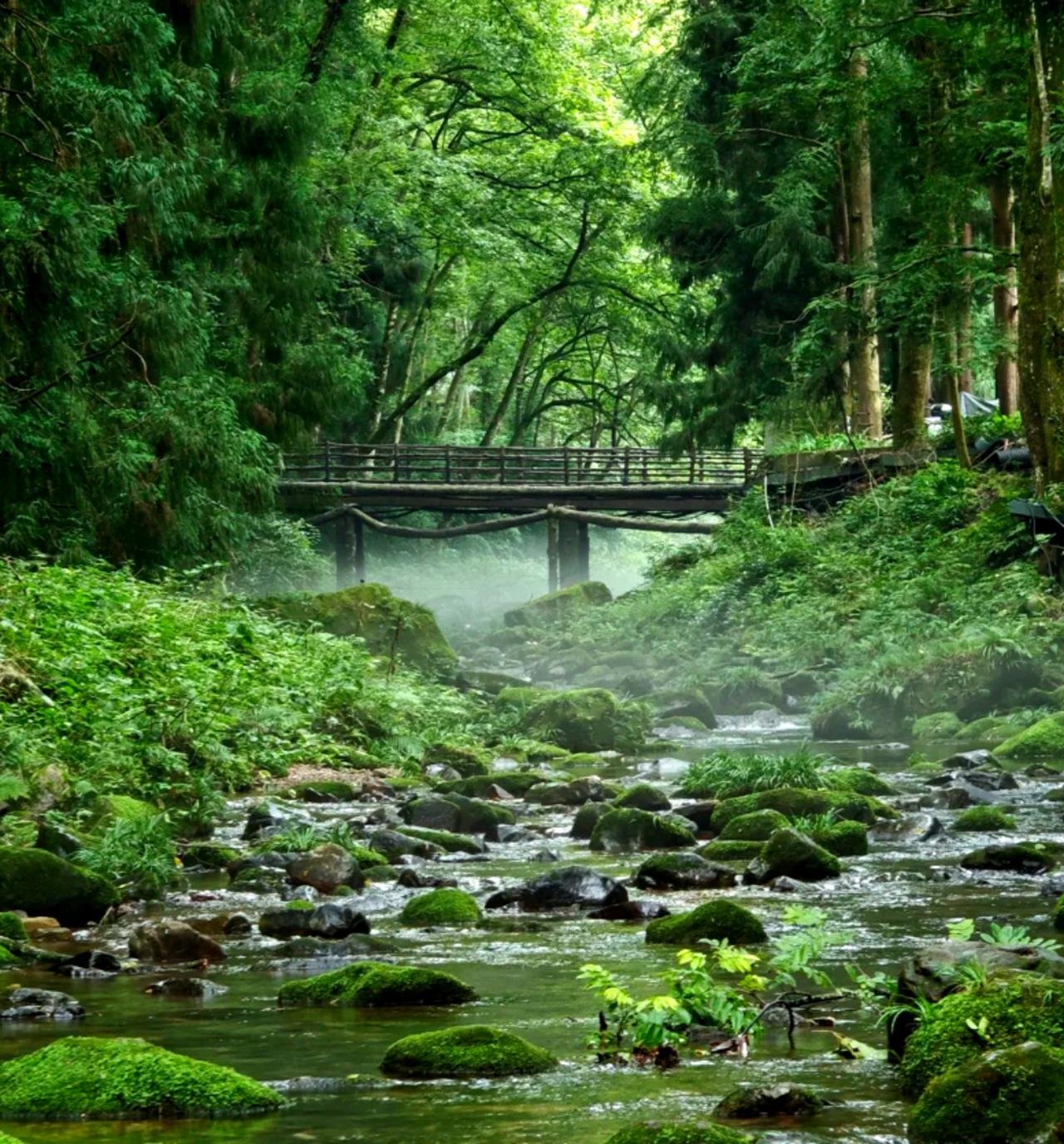 Zhangjiajie 3-Day Summer Escape: Rafting, Glass Bridge & Furong Ancient Town