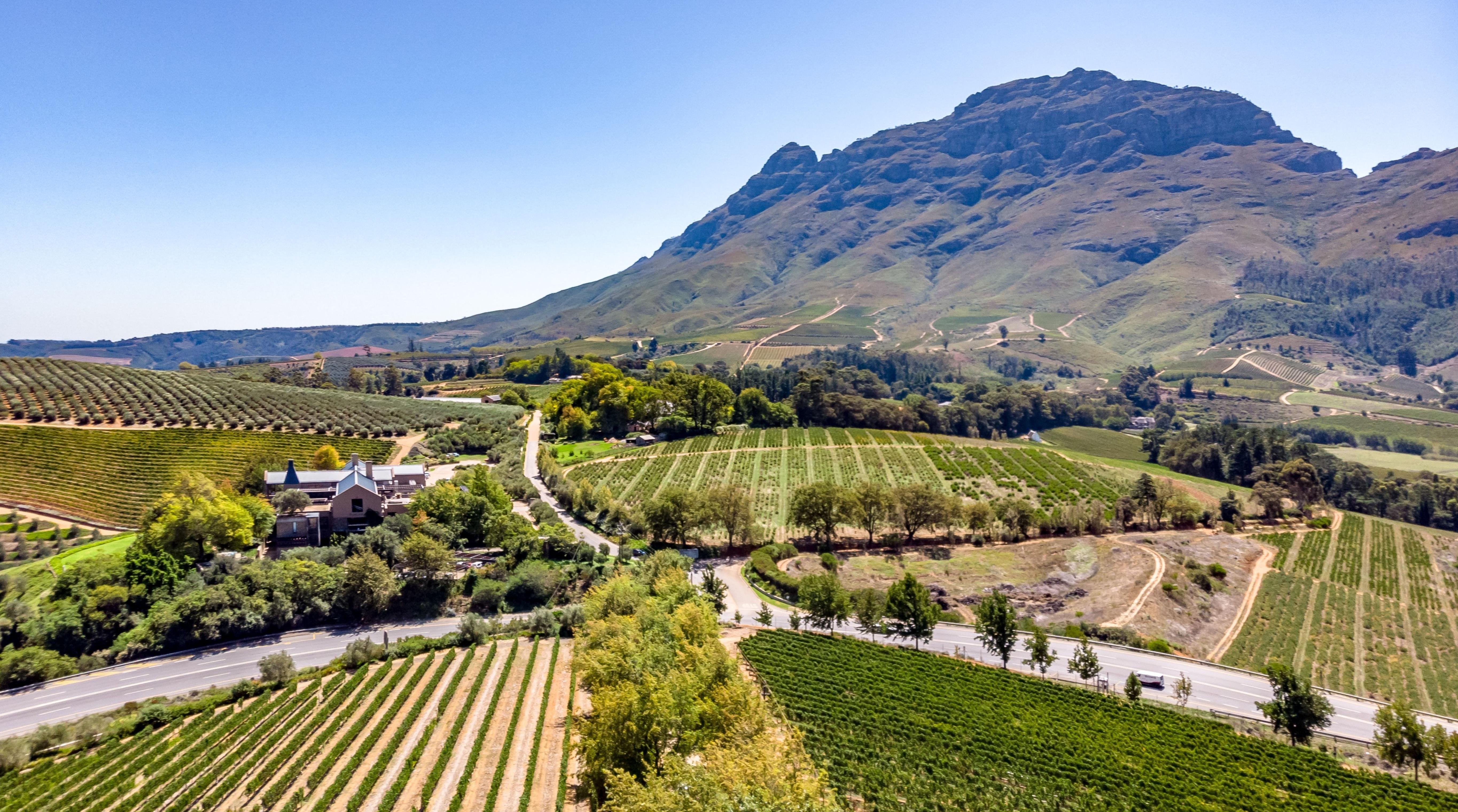 Stellenbosch Wine Walk: Vineyards, Tastings & Mountain Trails