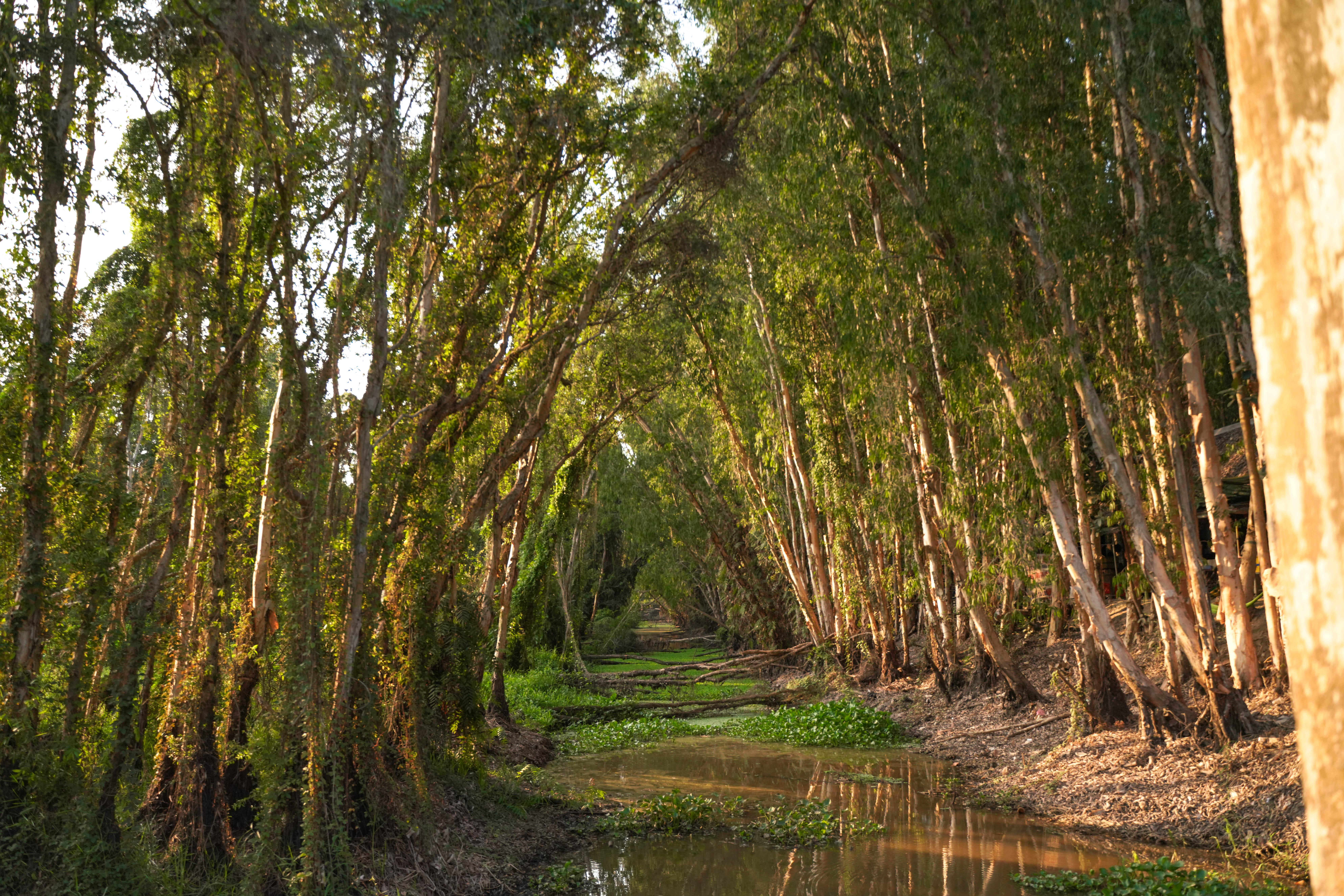 3-Day Mekong Delta Expedition: Ho Chi Minh to Phnom Penh
