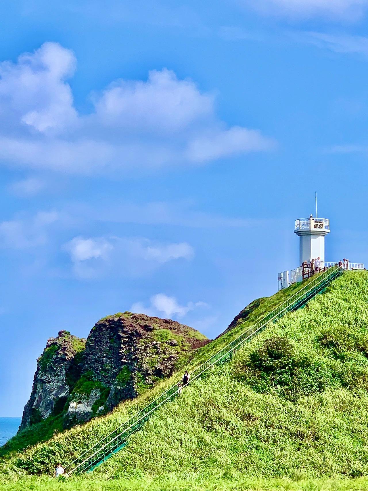 Jeju private car charter — image 29