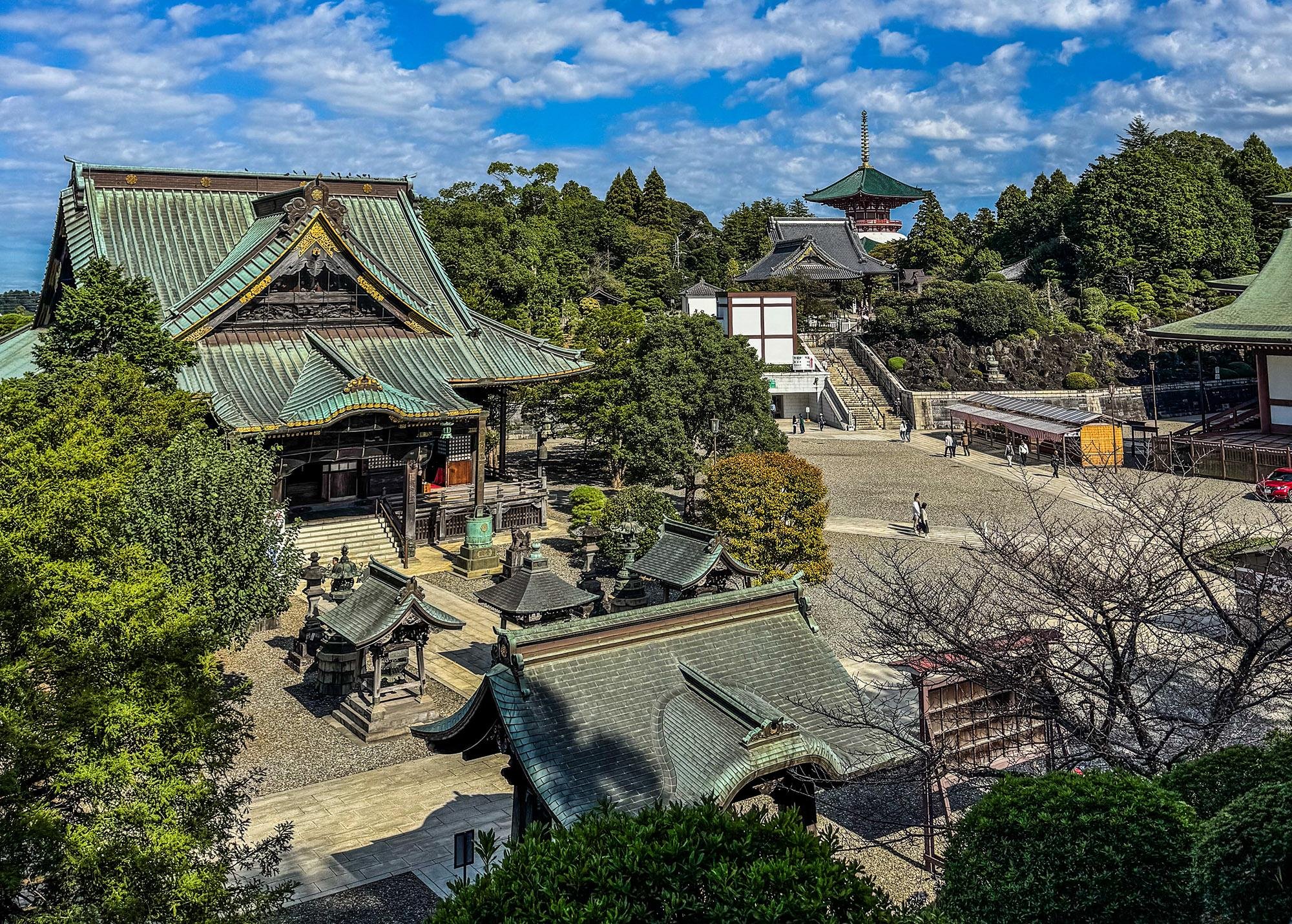 Narita Layover: Shinshoji Temple & Omotesandō Private Tour
