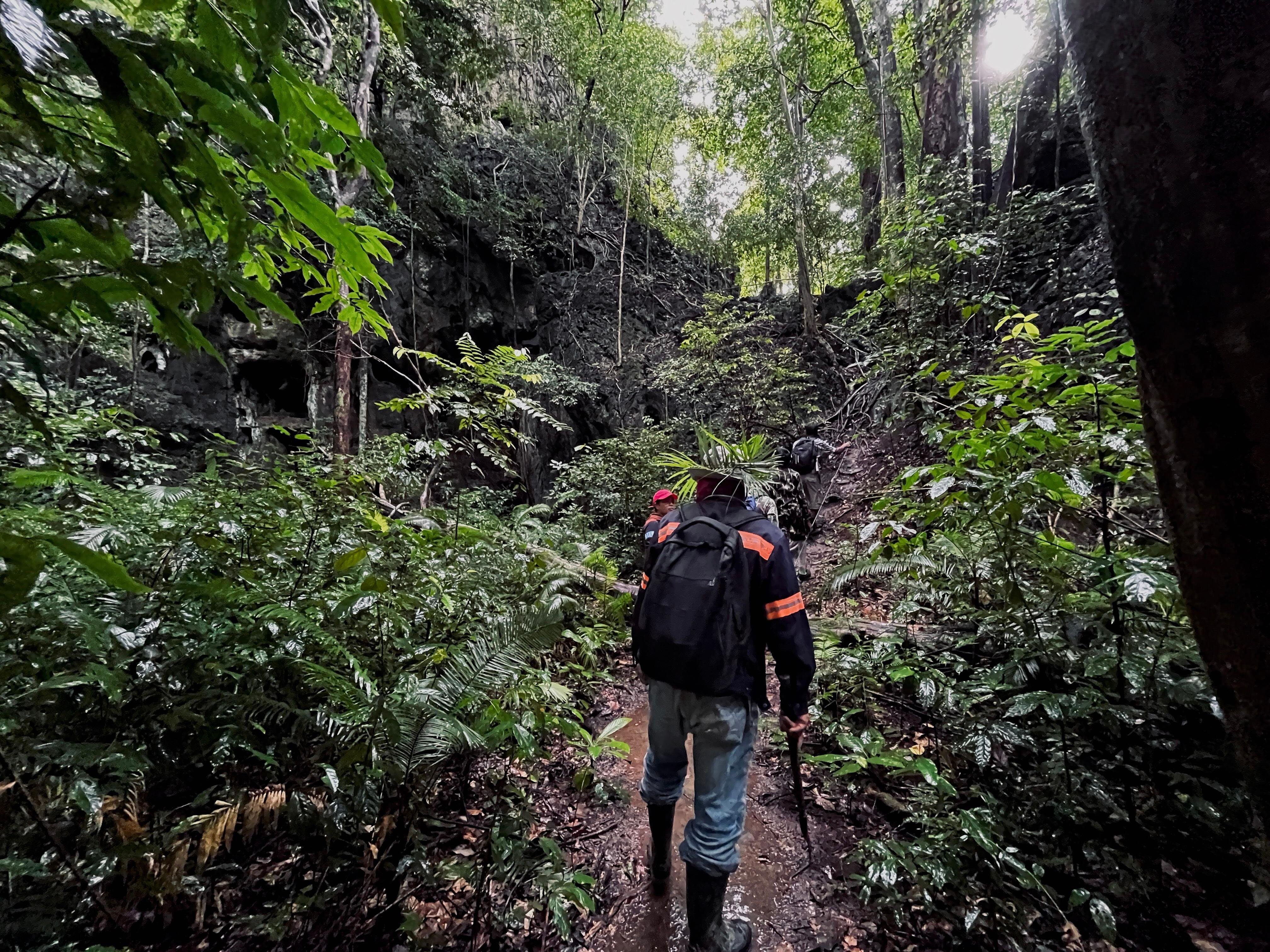 Khao Sok Rainforest Trek with Village Guides