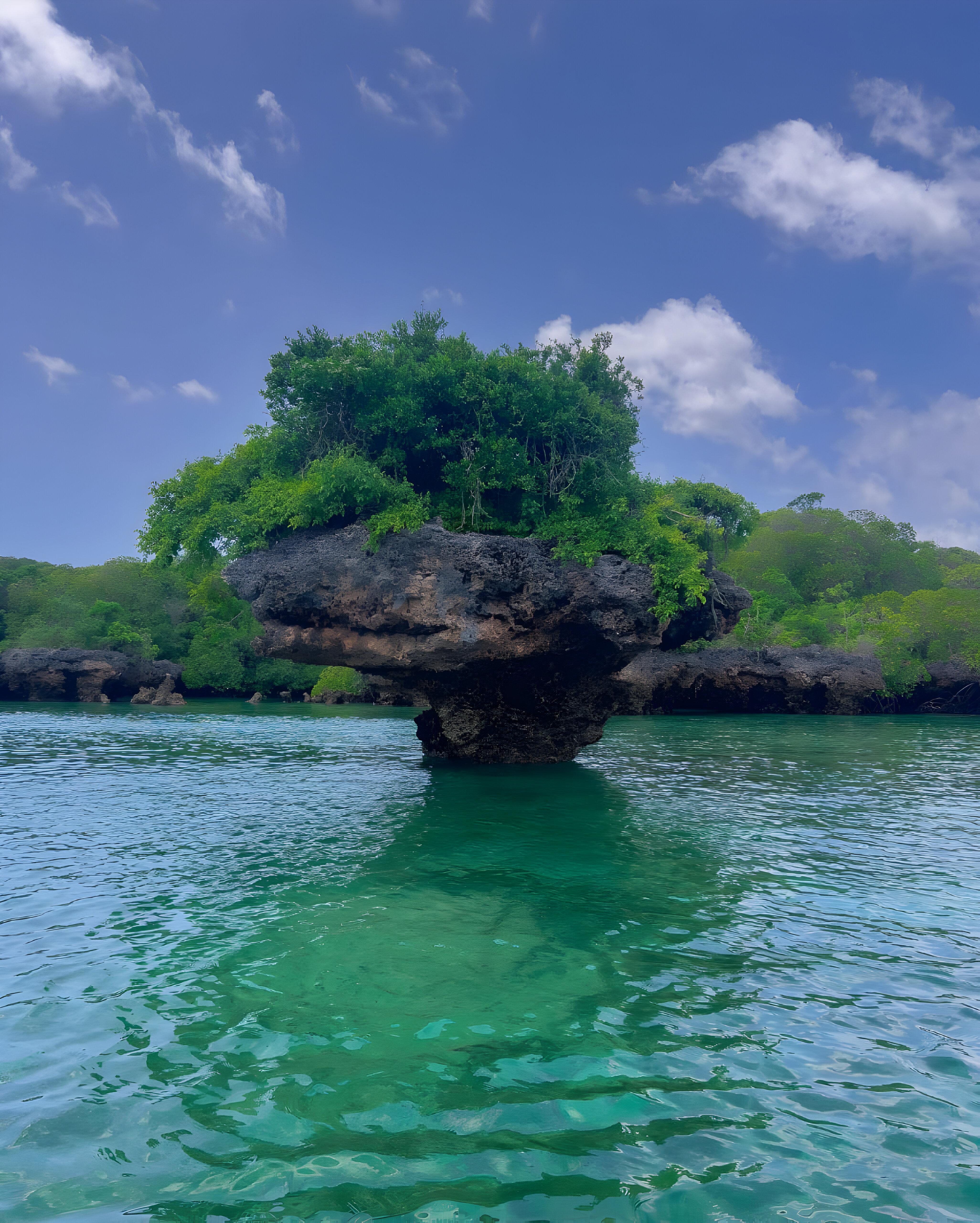 Zanzibar Safari Blue: Dhow Cruise, Snorkeling & Sandbank Day Tour