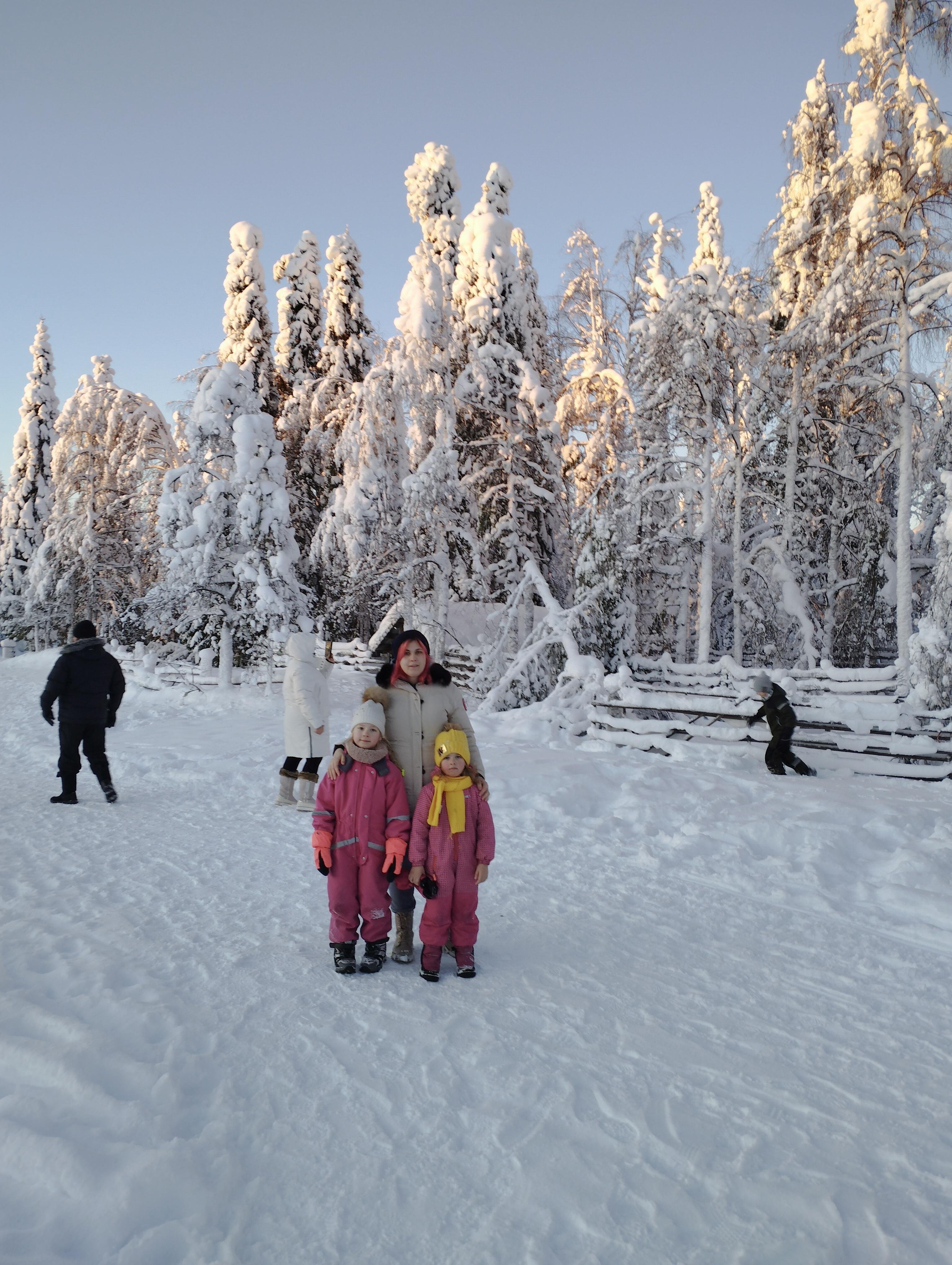 Ranua Wildlife Park Day Trip from Rovaniemi