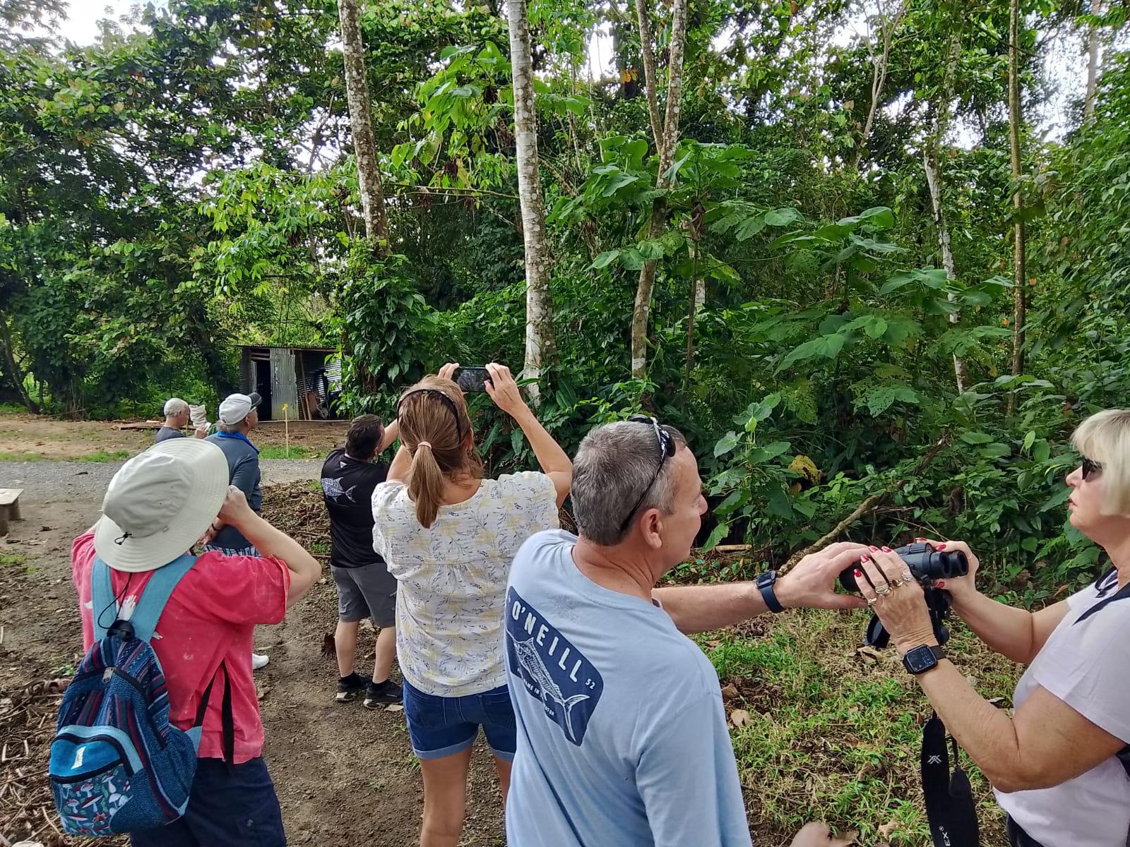 La Fortuna Private Rainforest Sloth Tour with Guaranteed Sighting