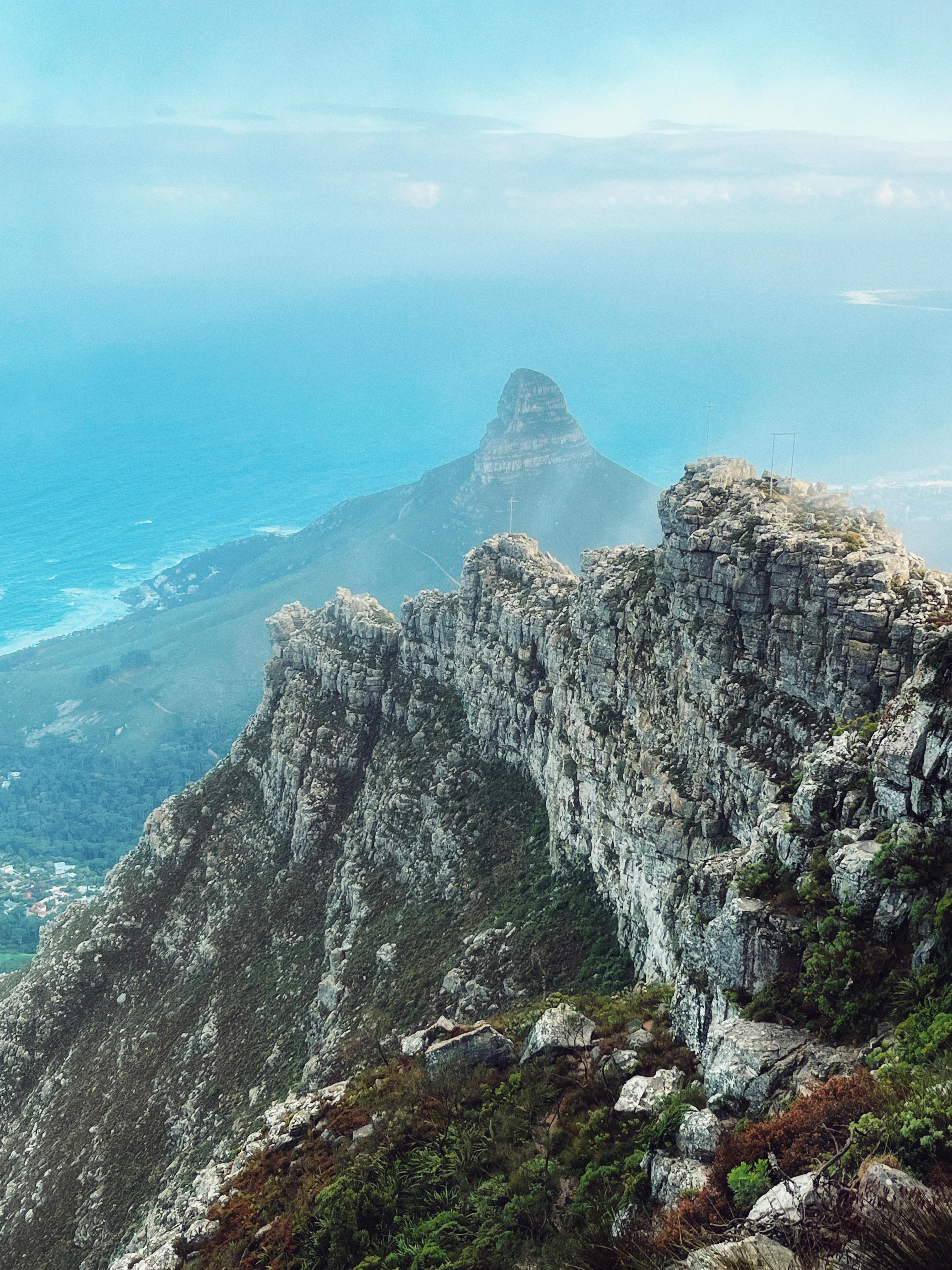 Cape Town: Lion's Head or Table Mountain Guided Hike