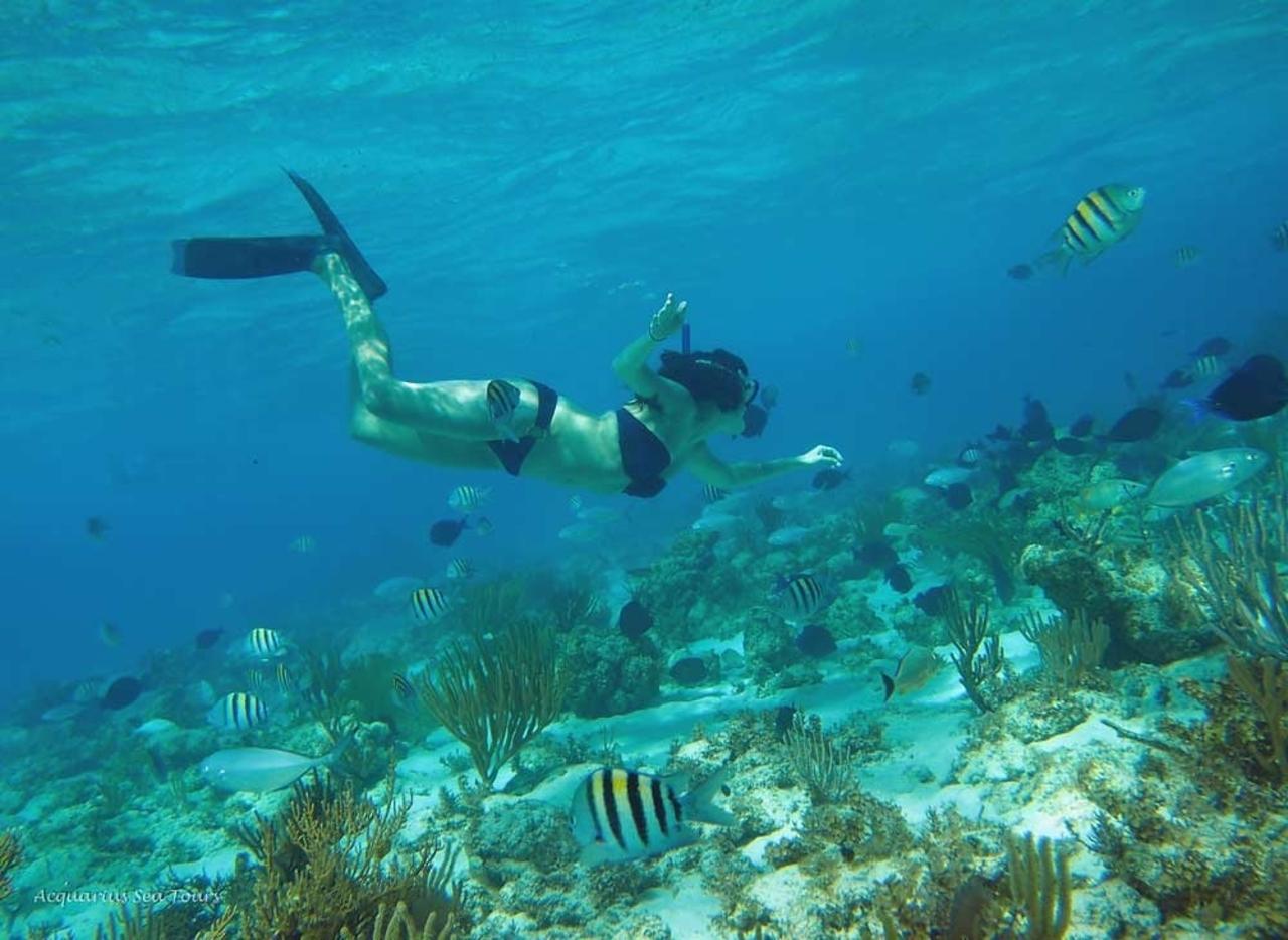 Culebra Island All-Inclusive Snorkel Cruise from Fajardo