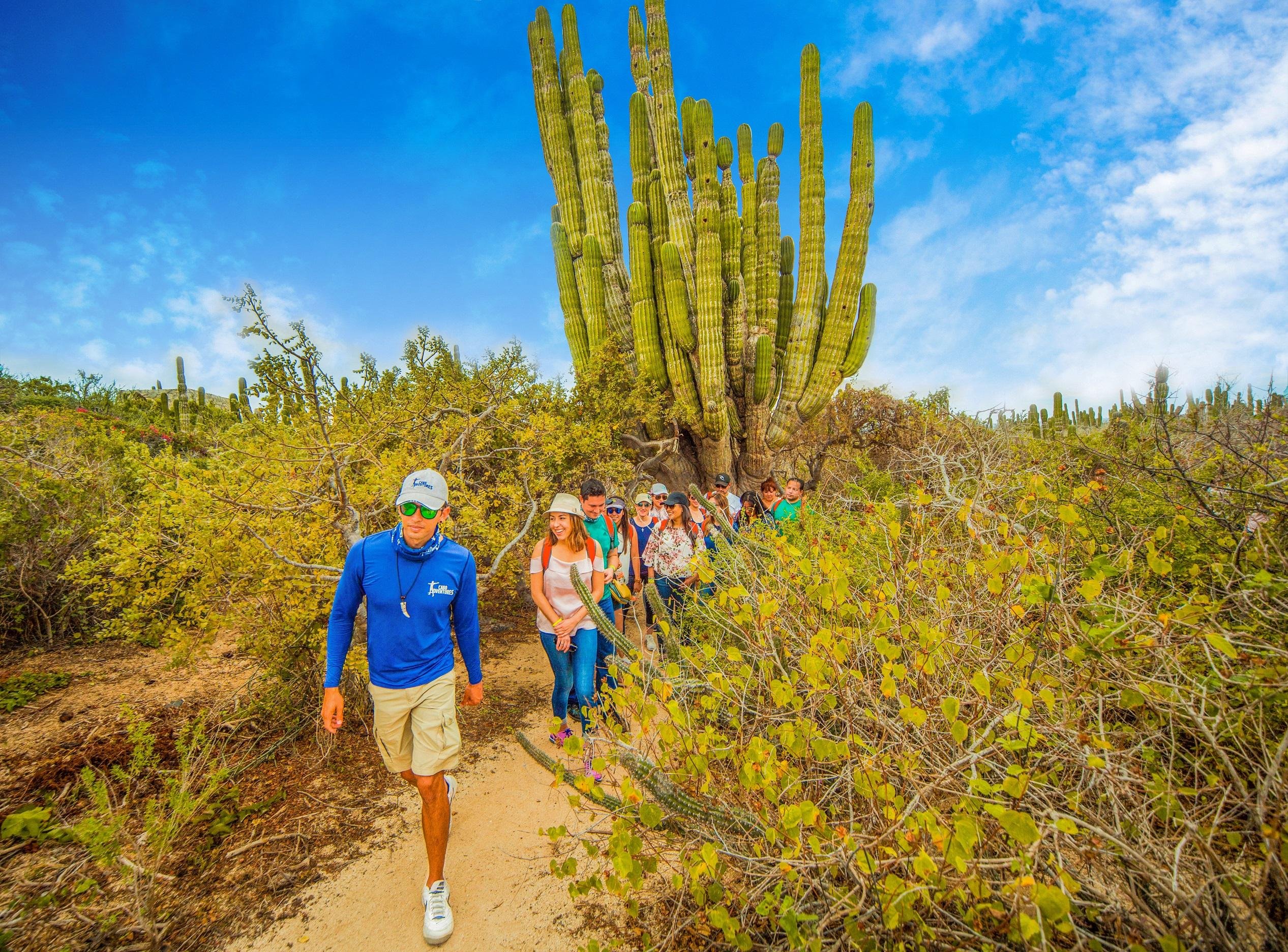 Cabo San Lucas Camel Safari with Lunch & Tequila Tasting