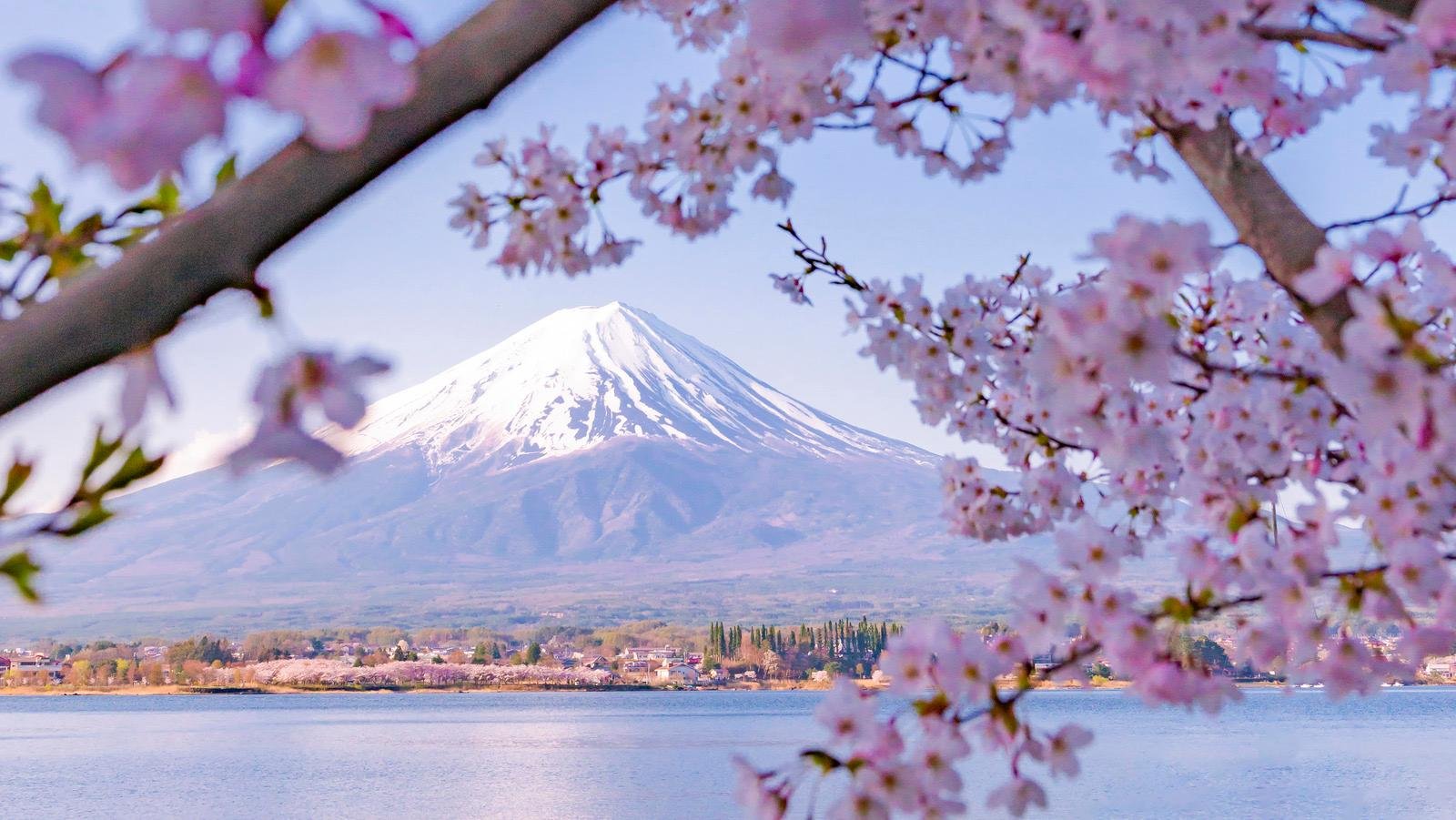 Tokyo to Mt. Fuji Private Luxury Day Tour with Hotel Pickup