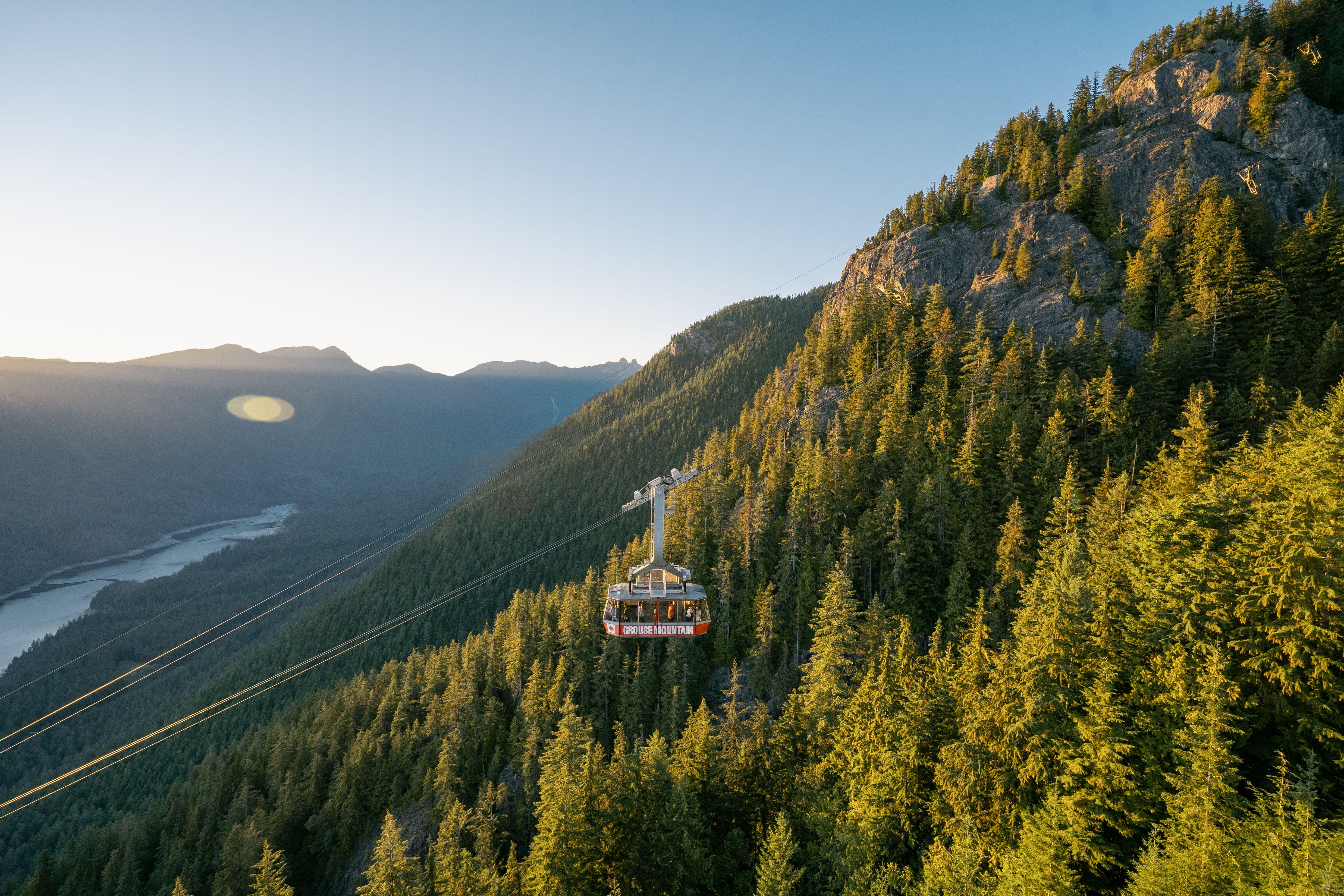 Bilhete de Admissão para o Grouse Mountain Skyride e Pico