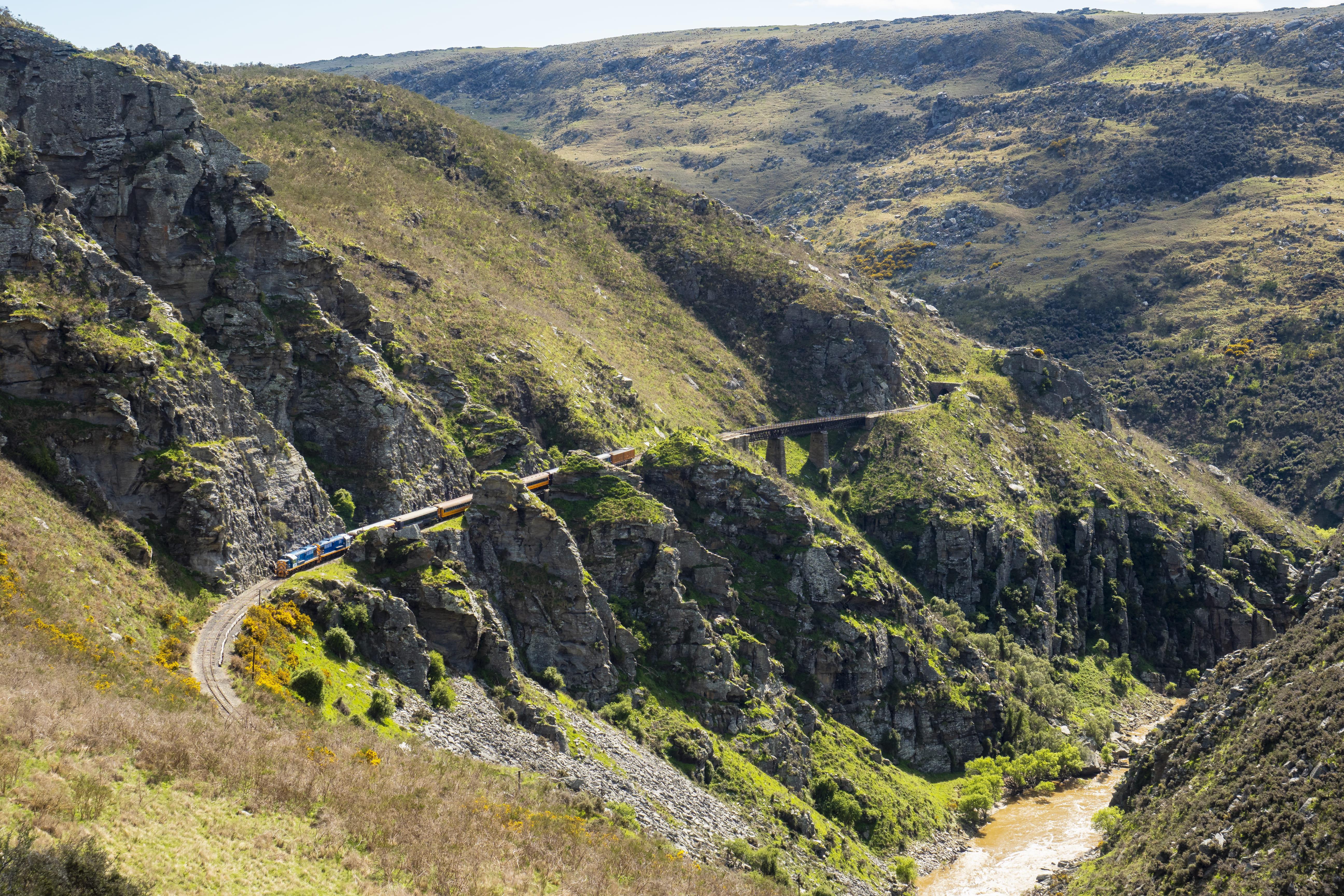 South Island guided tour photo — image 6