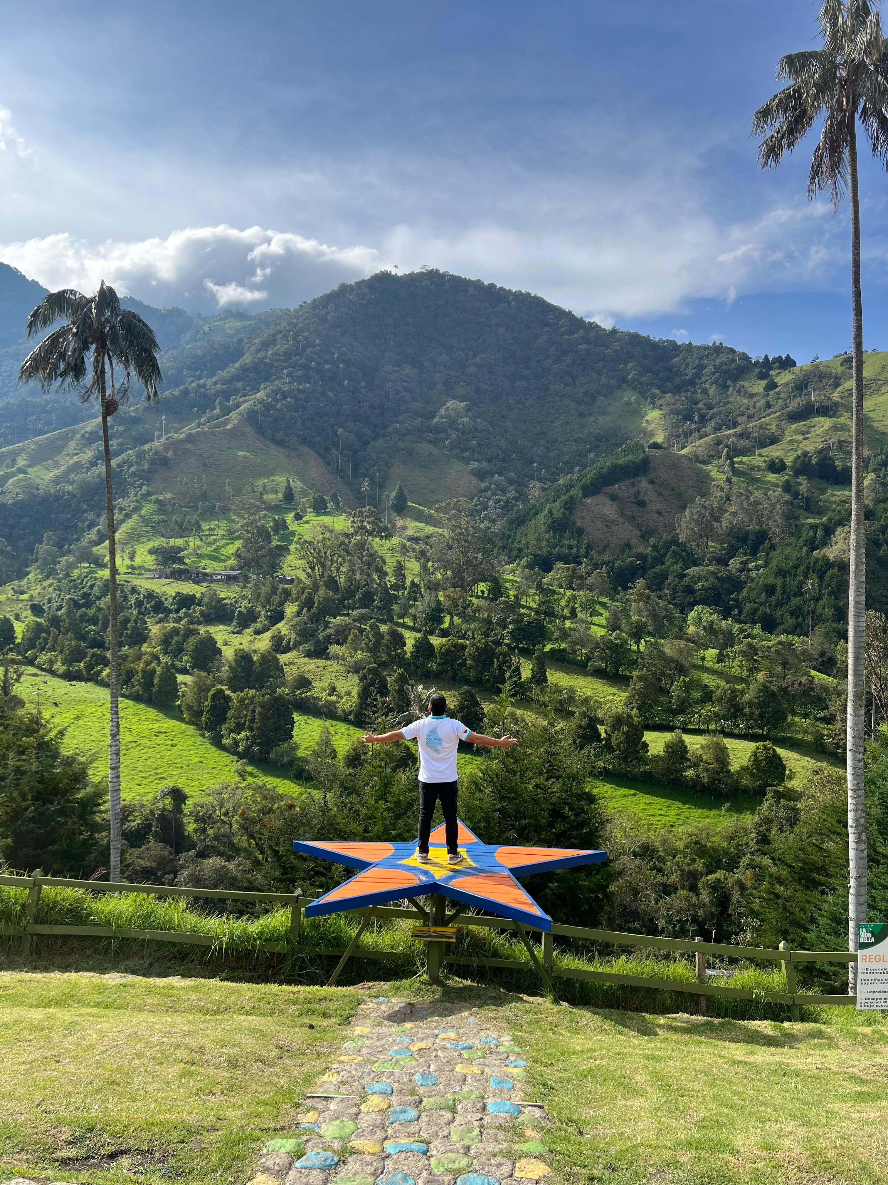 Coffee Region Highlights: Cocora Valley, Salento & Filandia