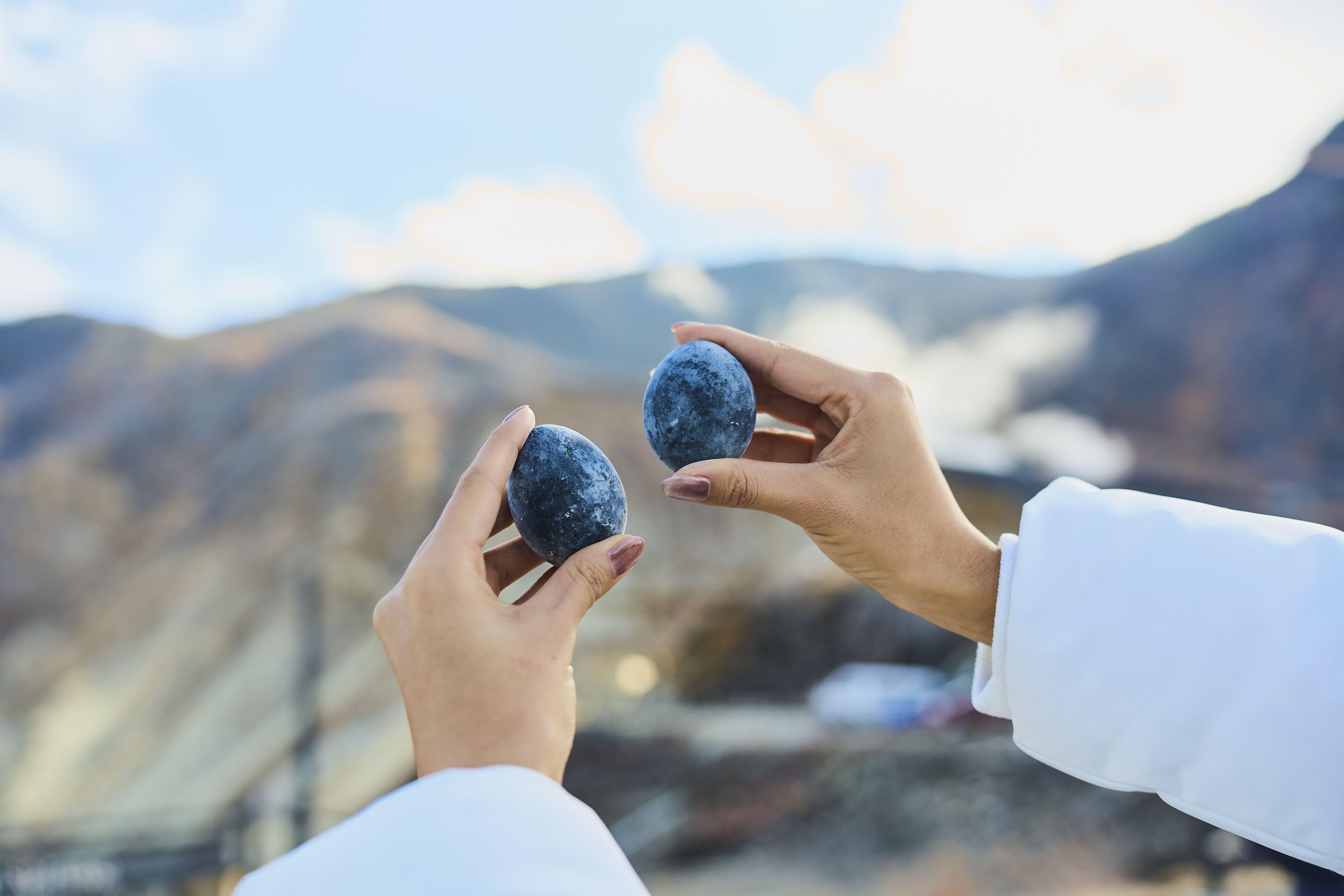 Mt. Fuji & Hakone Day Trip: Pirate Cruise, Ropeway & Shrine from Tokyo