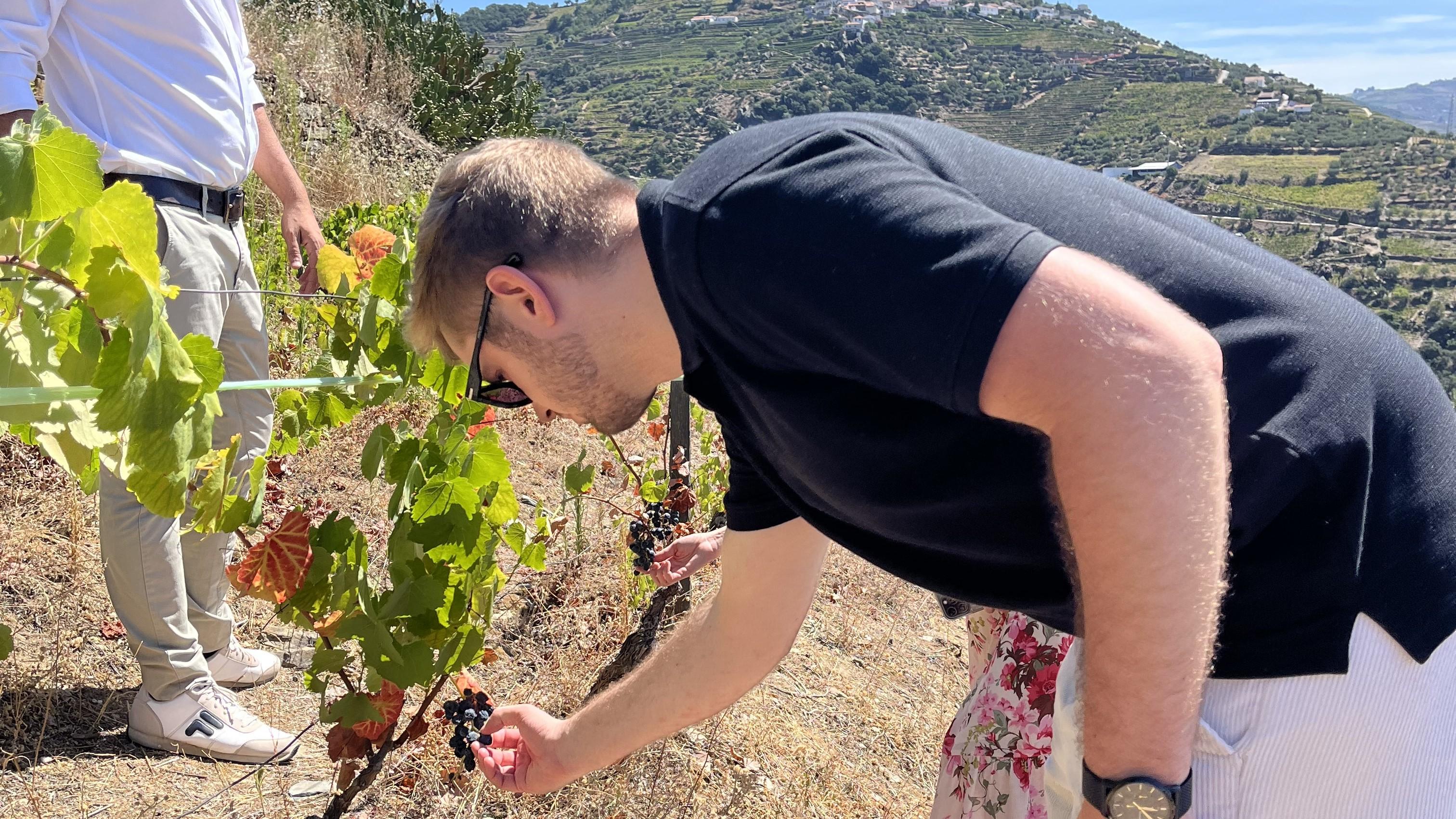 Douro Valley Wine & Boat Experience from Porto