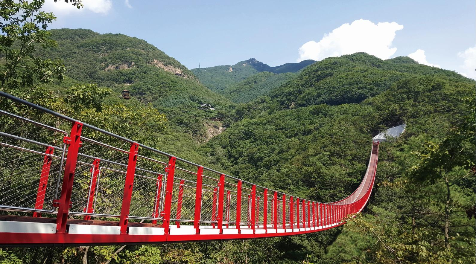Seoul Private DMZ Day Tour: 3rd Tunnel & Gamaksan Suspension Bridge