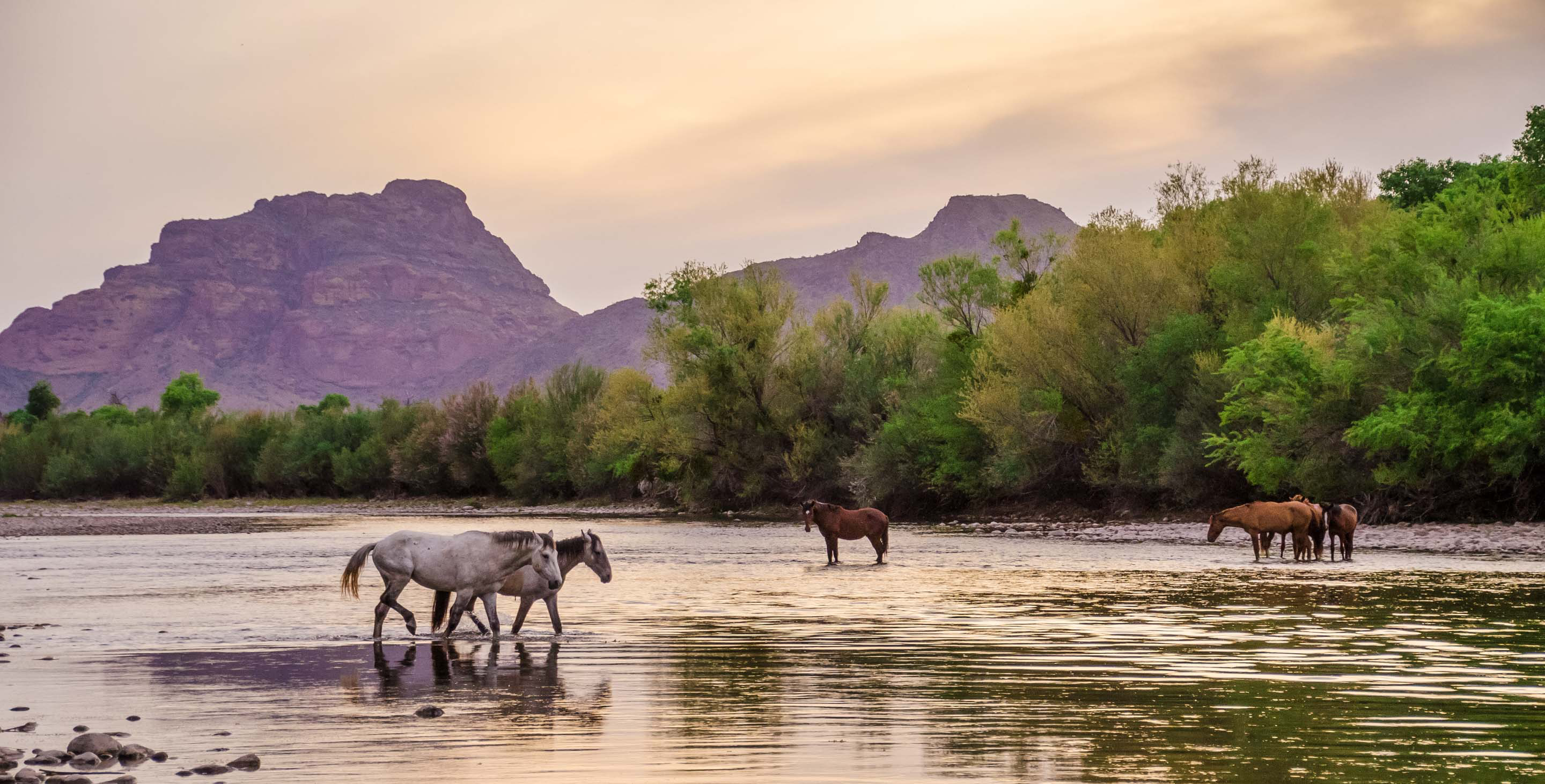 Salt River Kayak & Paddleboard Rental – Full Day Adventure