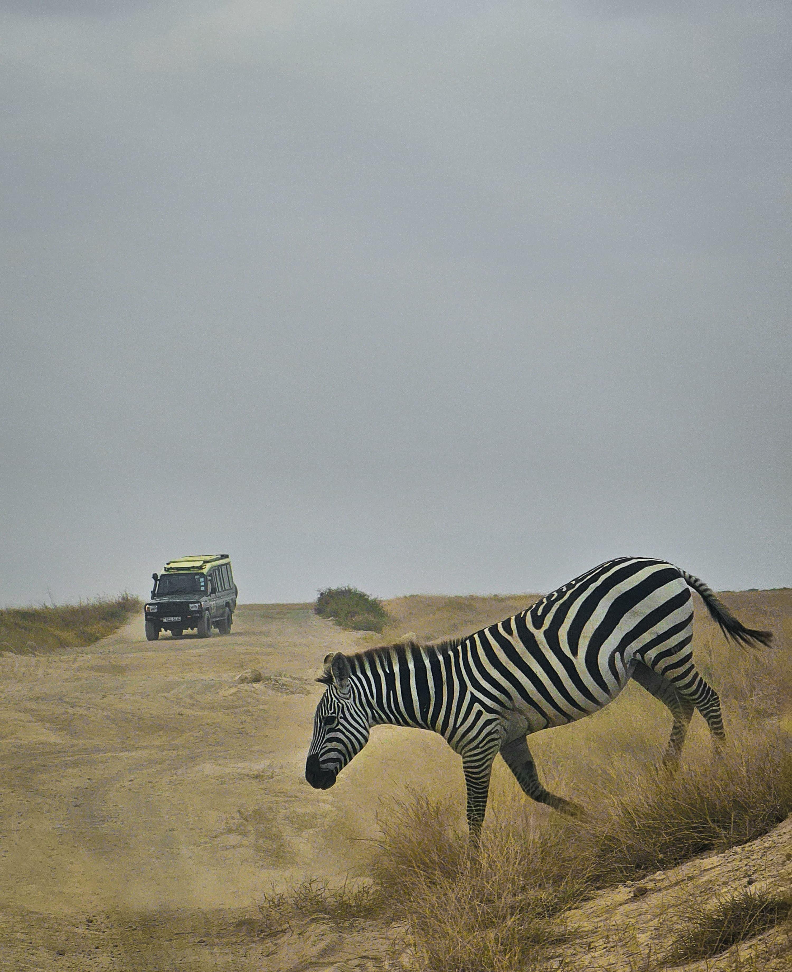 3-Day Masai Mara Safari Adventure from Nairobi