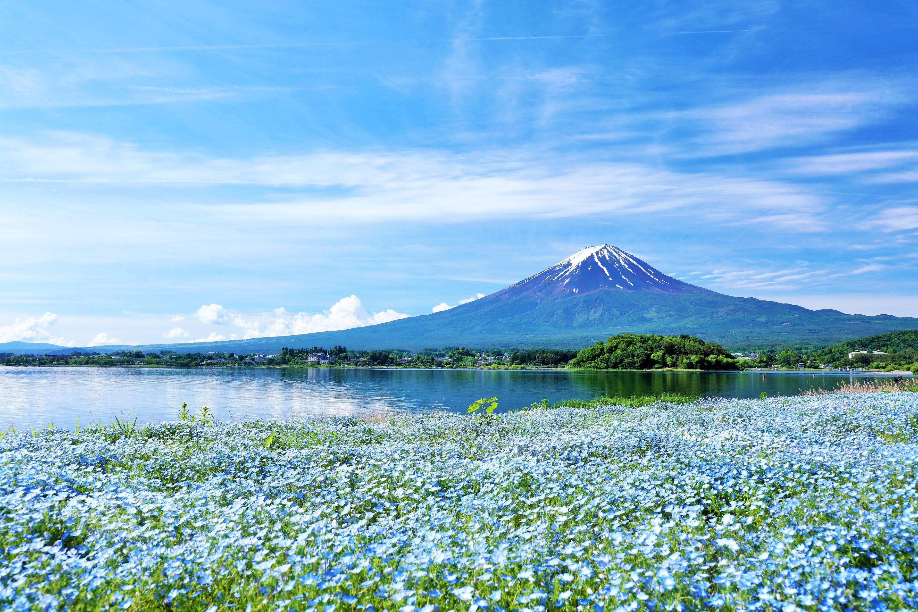 Mt. Fuji and Lake Kawaguchiko Day Tour from Tokyo