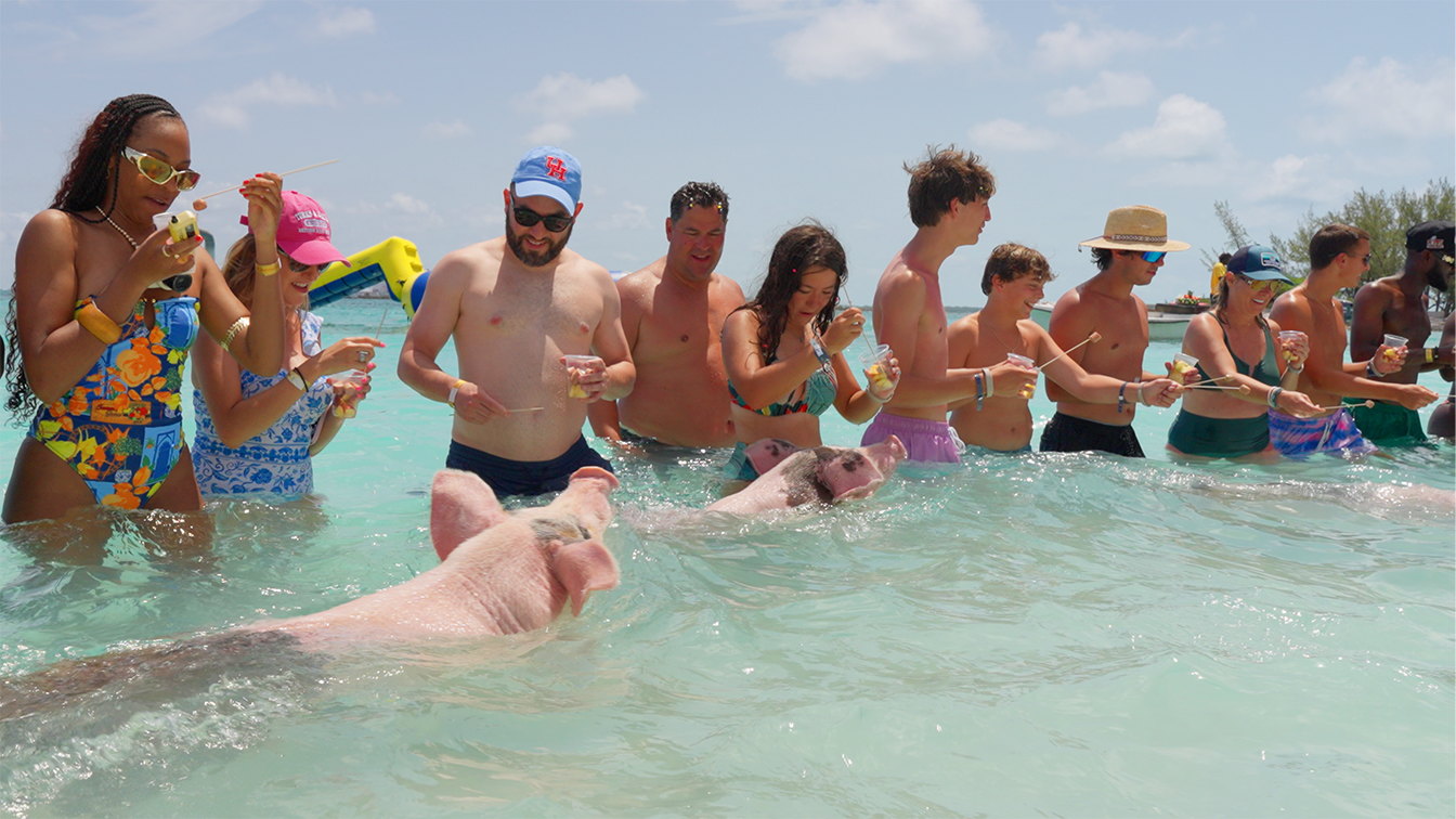 Mansa Bay Private Island Escape: Pigs, Jet Skis & Snorkeling