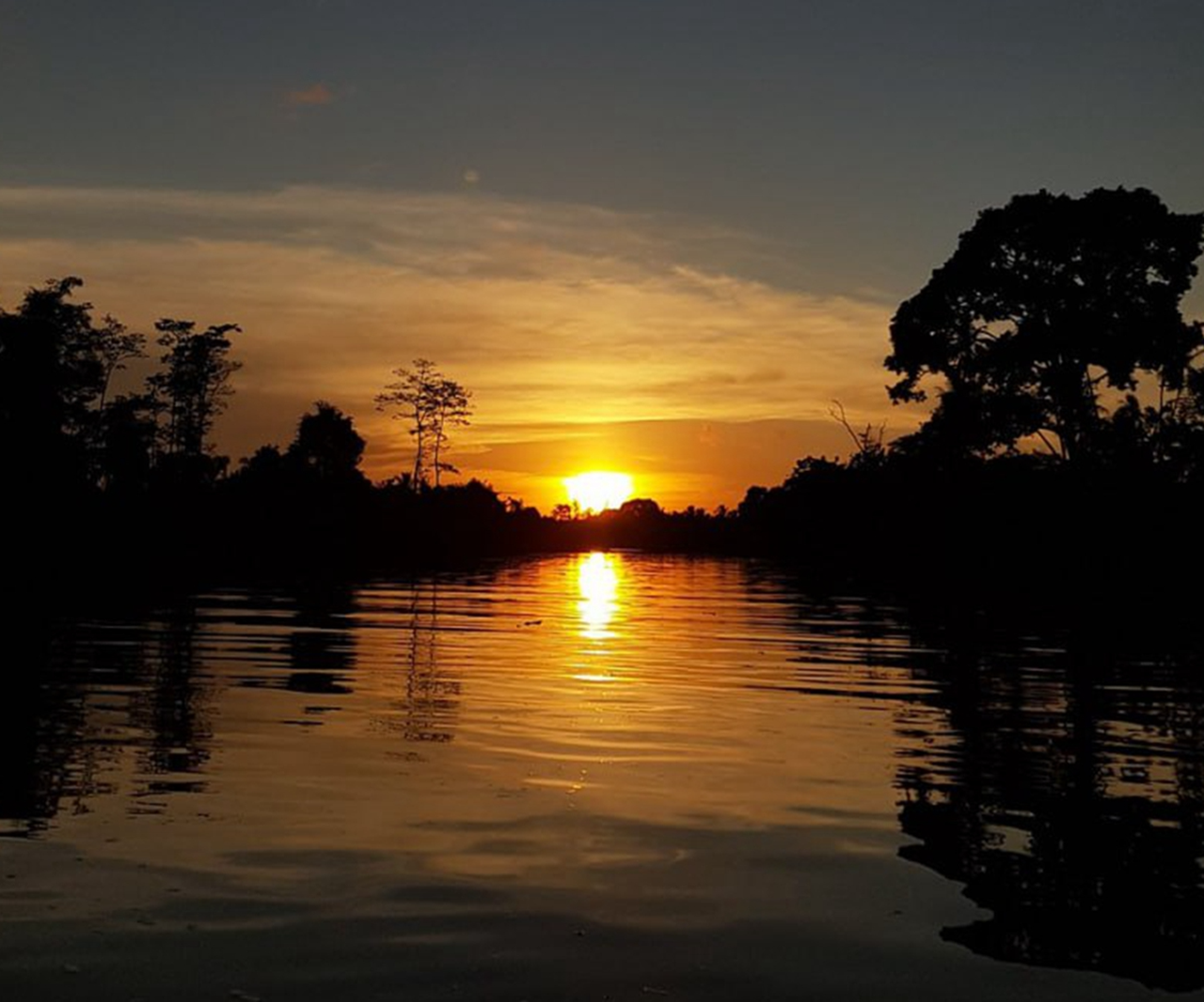 Klias River Wetlands Cruise – Sabah Day Tour