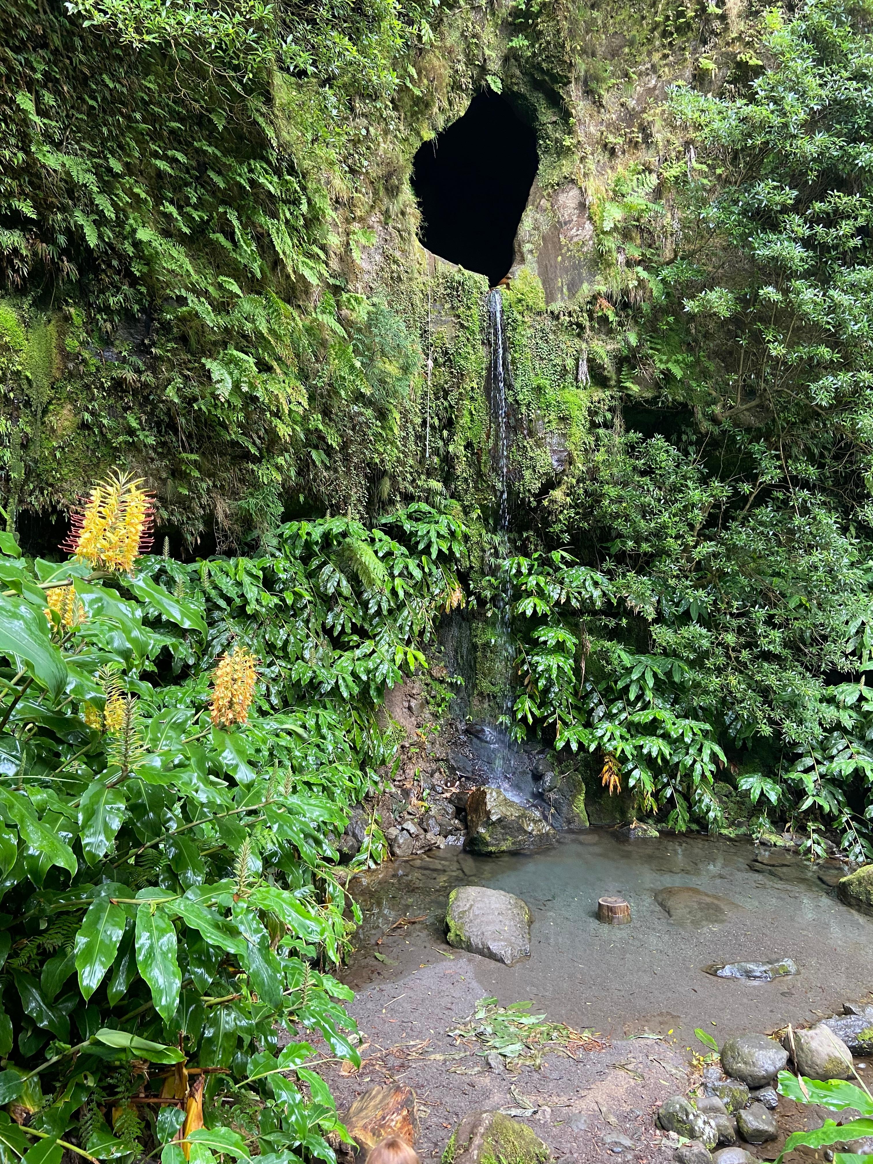 Azores Guided Trek: Janela do Inferno & Caldeira Velha Thermal Springs