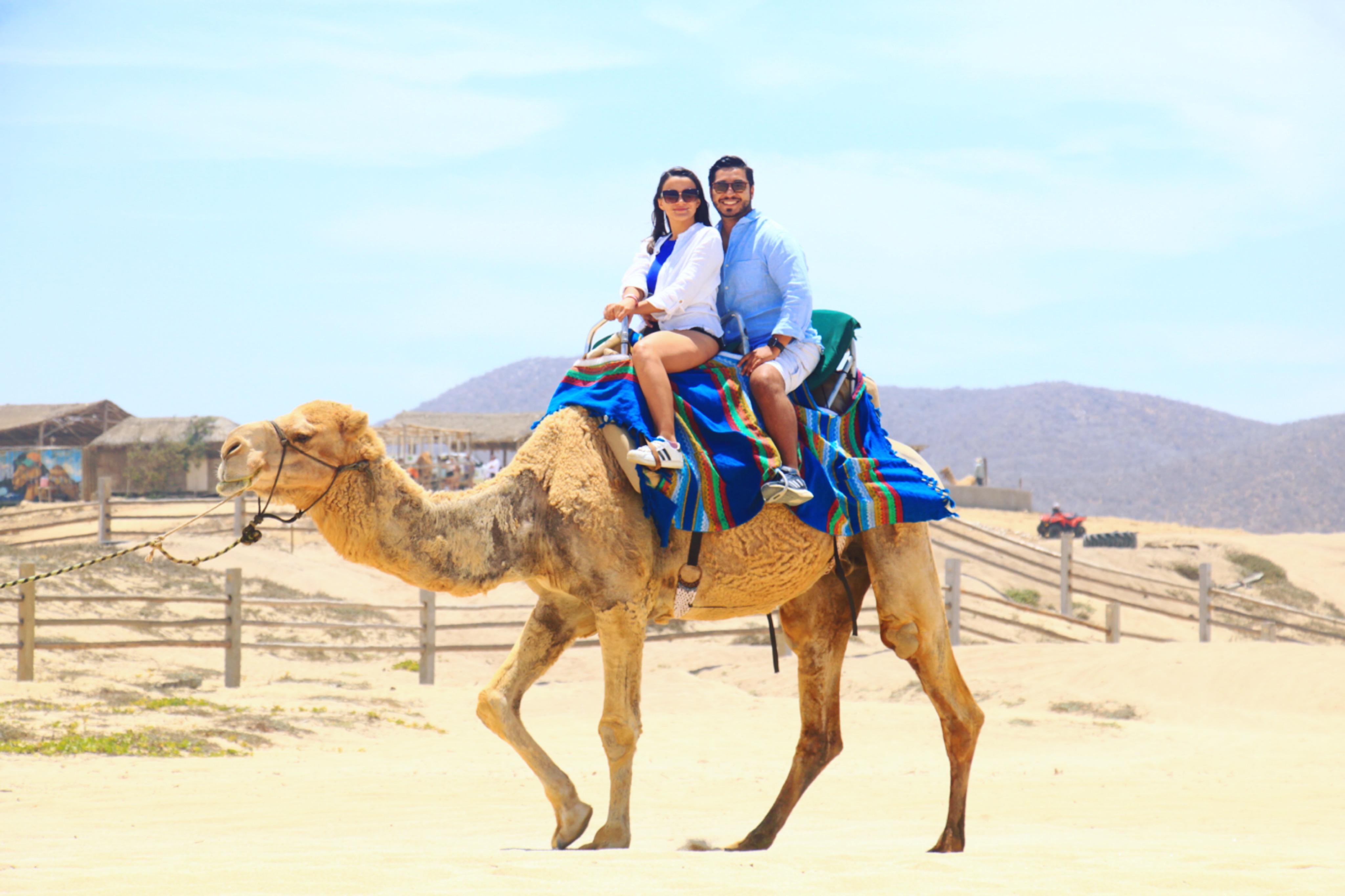 Cabo Desert UTV & Camel Ride Adventure