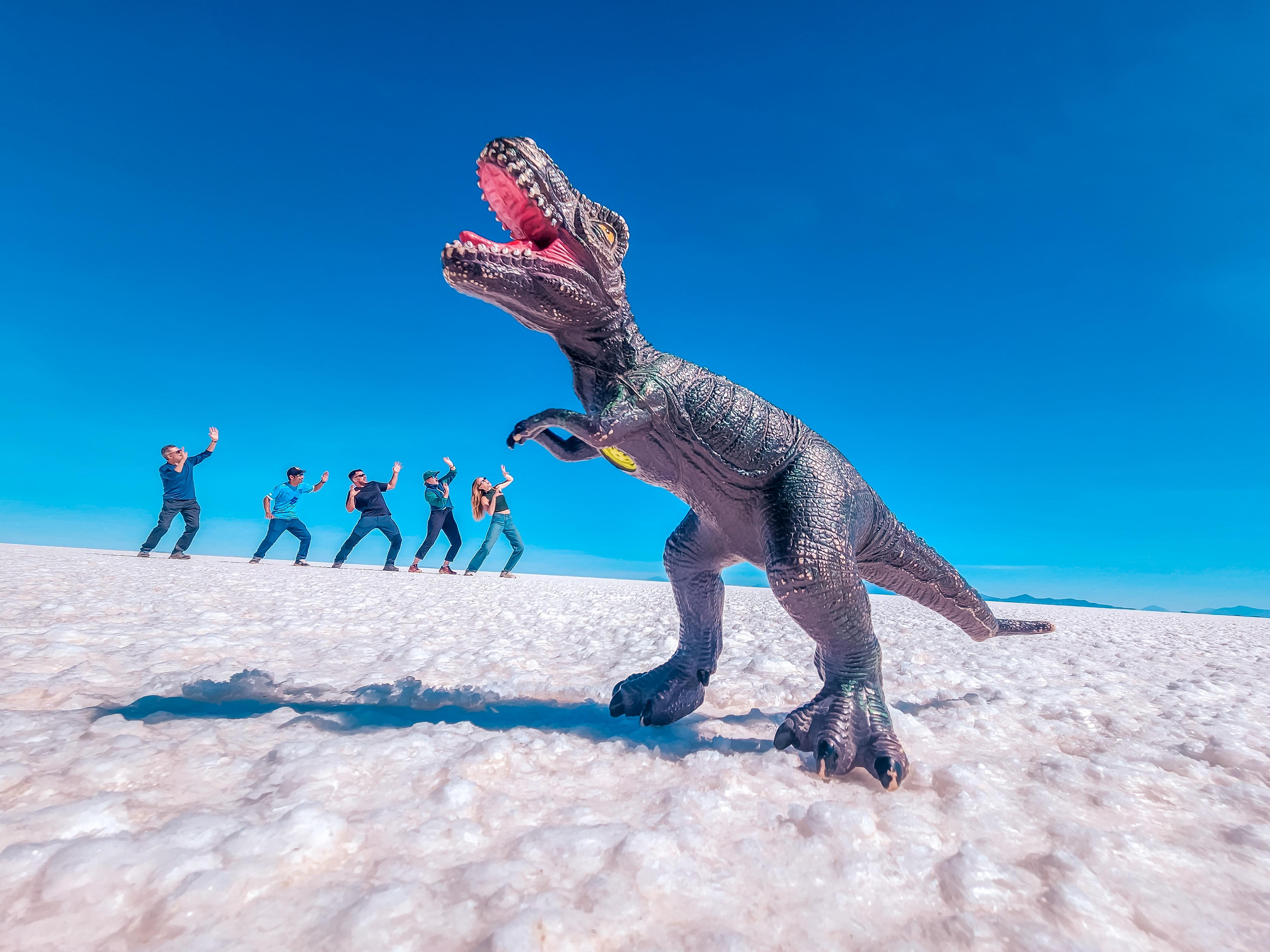 Expédition de 3 jours : Salar de Uyuni et lagunes