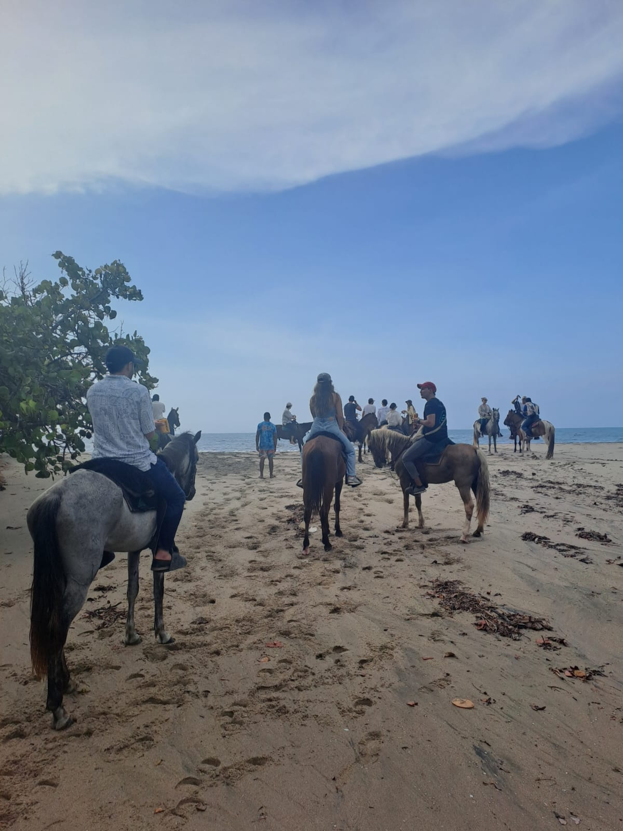 Palomino Beach & Coastal Trail Horseback Adventure