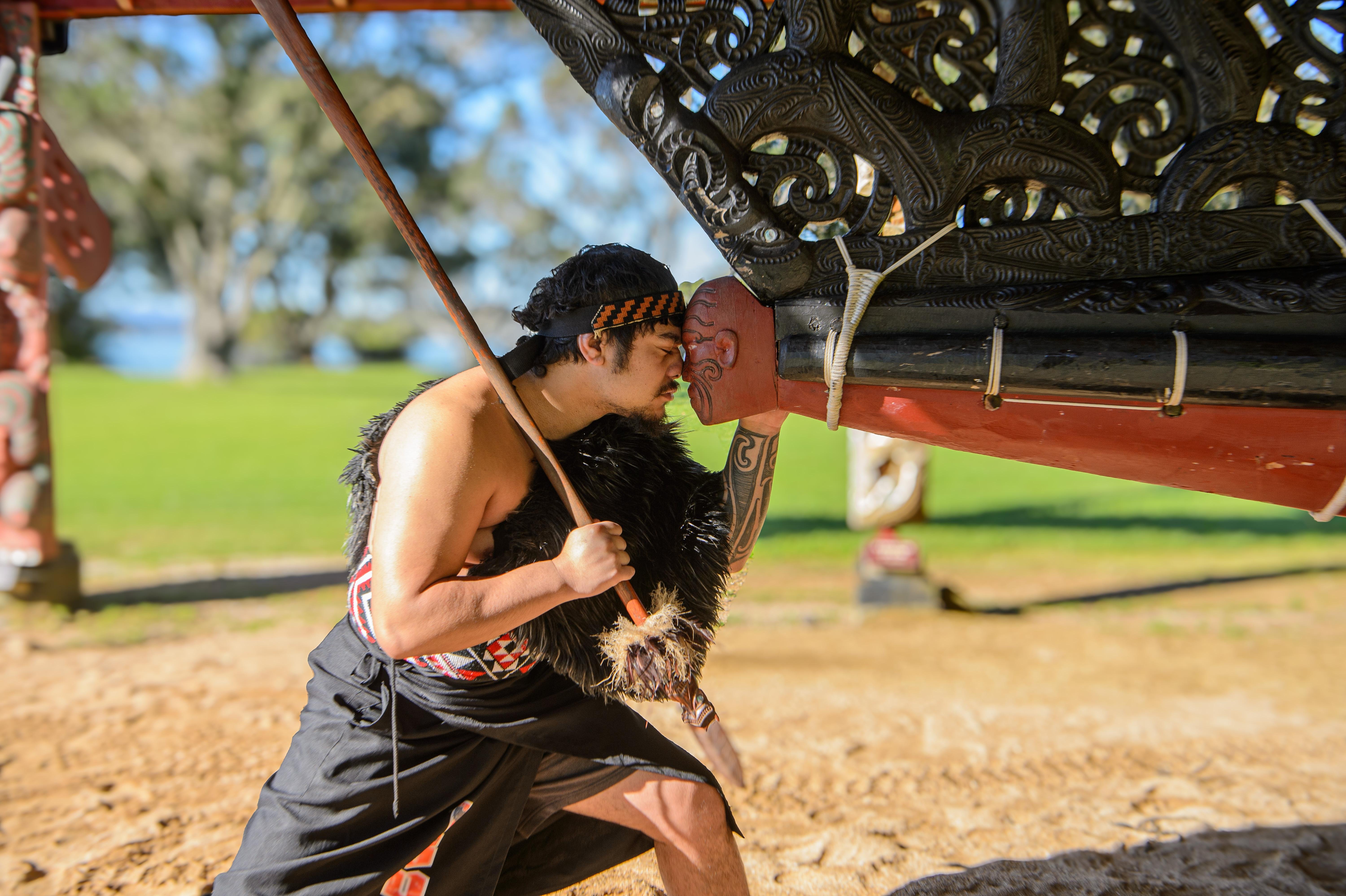 Waitangi Treaty Grounds : Pass 2 jours